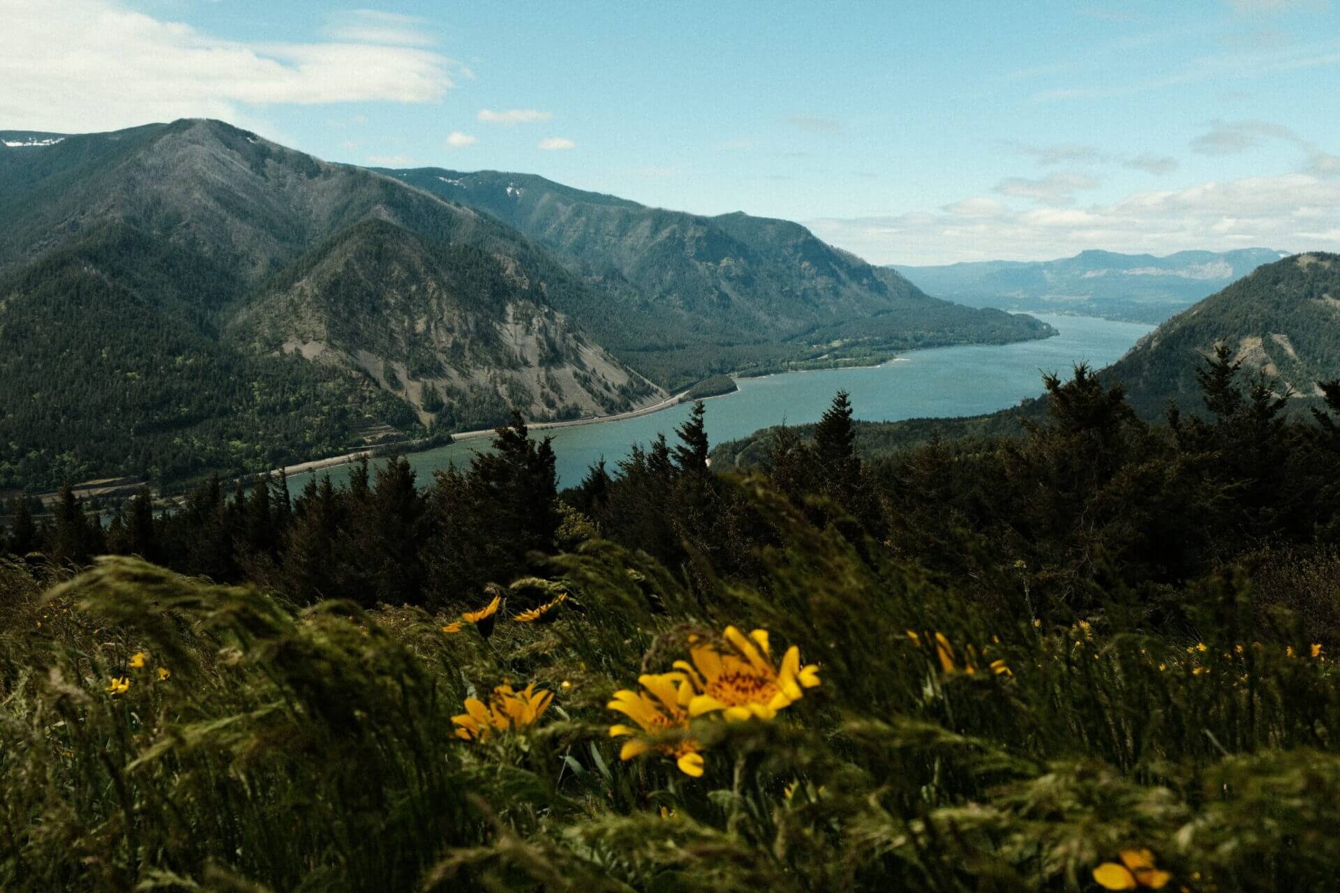 Dog Mountain