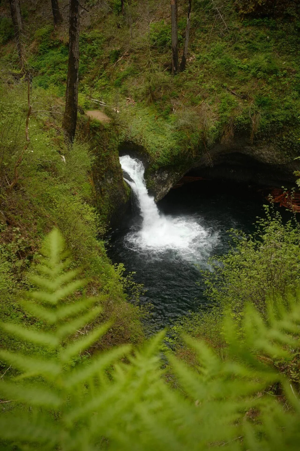 2.1mi Punchbowl Falls