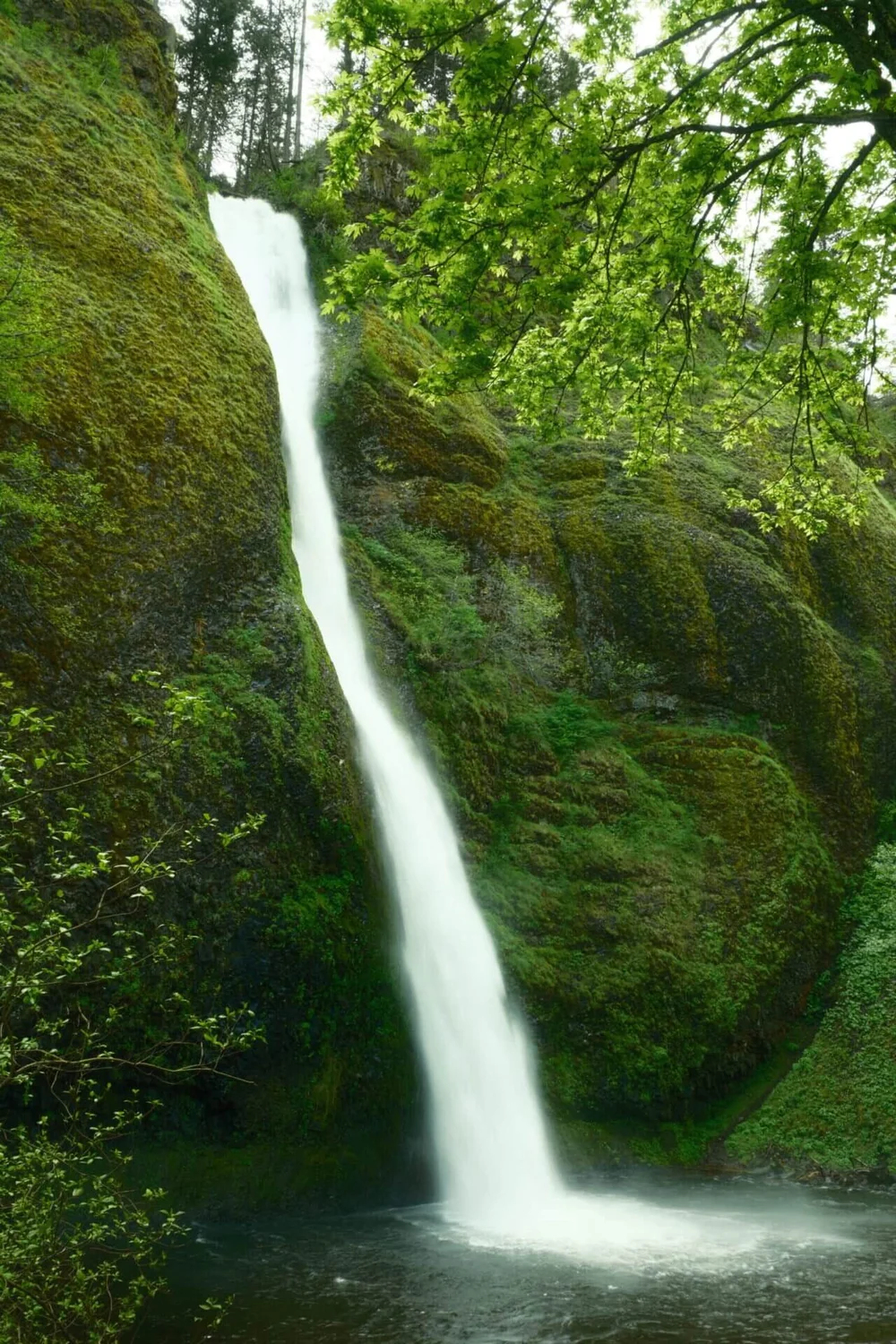 176ft Horsetail Falls