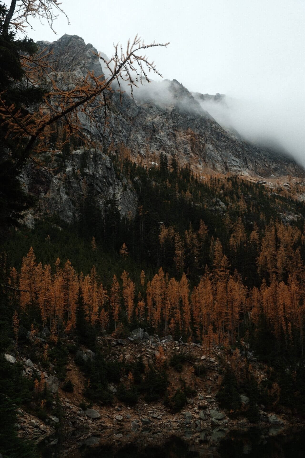 dscf0603-1.jpg