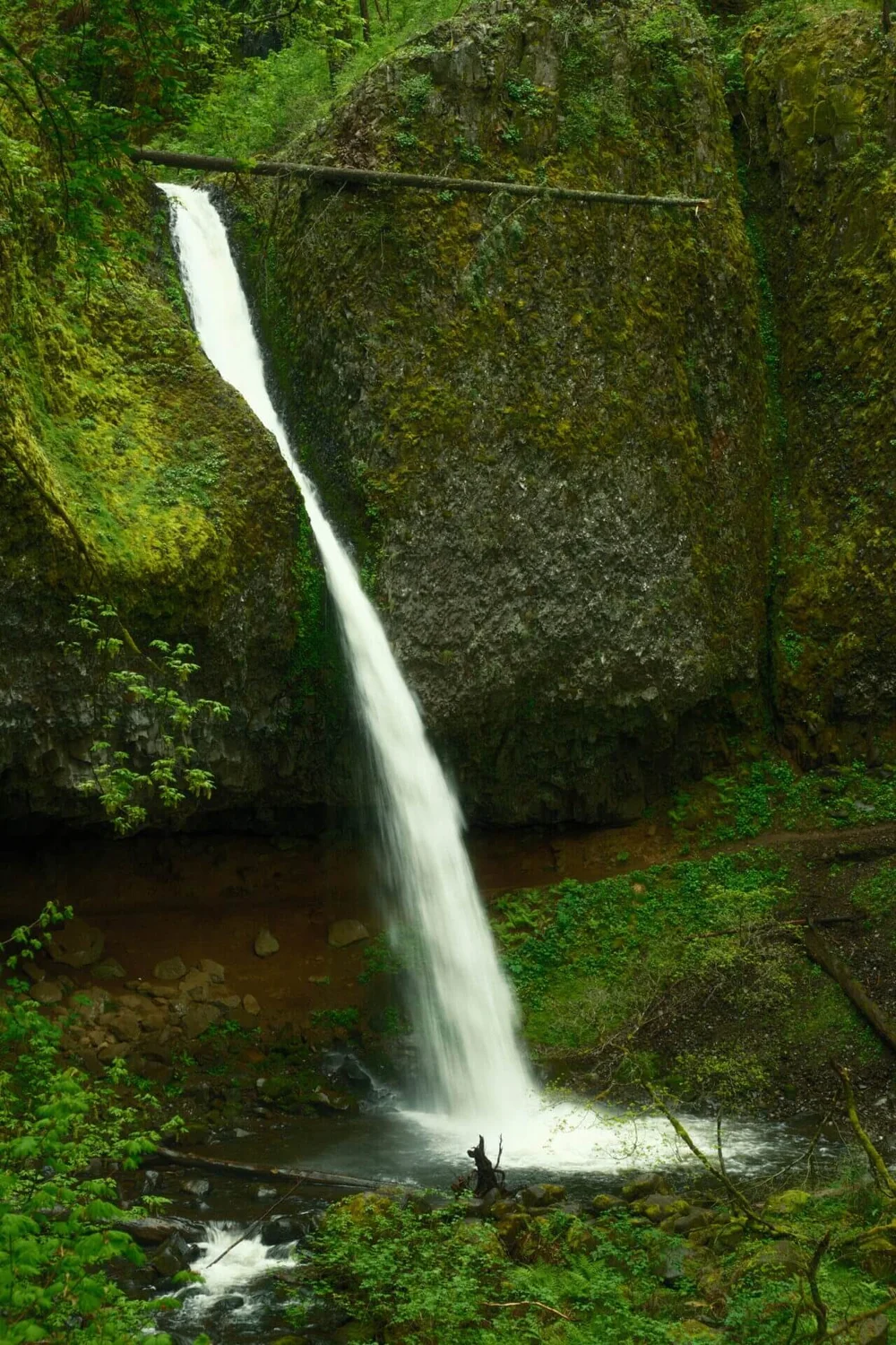 88ft Ponytail Falls