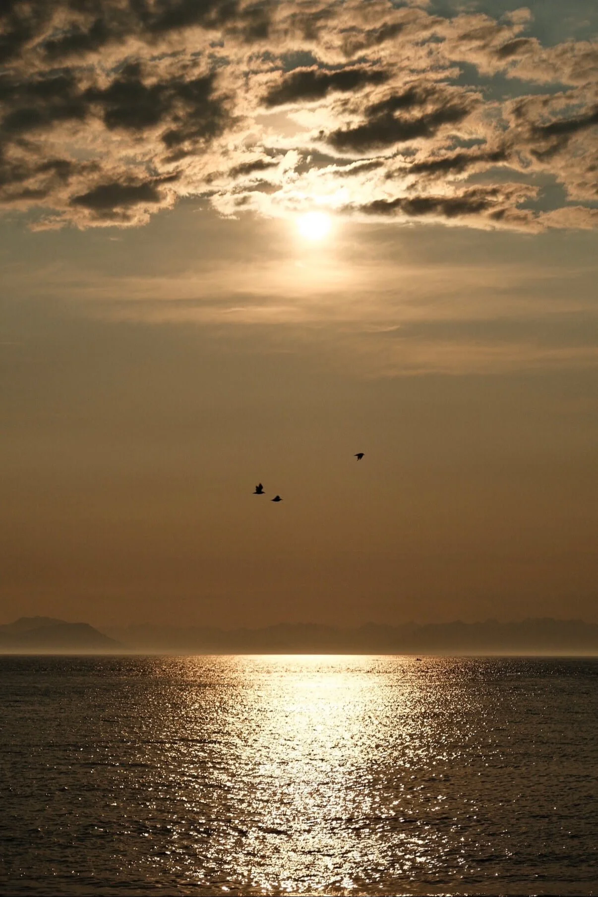 IMG_0433.jpeg