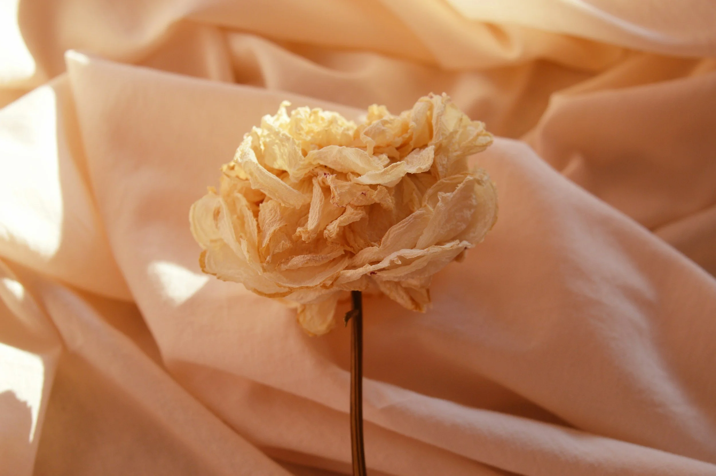 Nowhere to Wear This Birthday Gala!