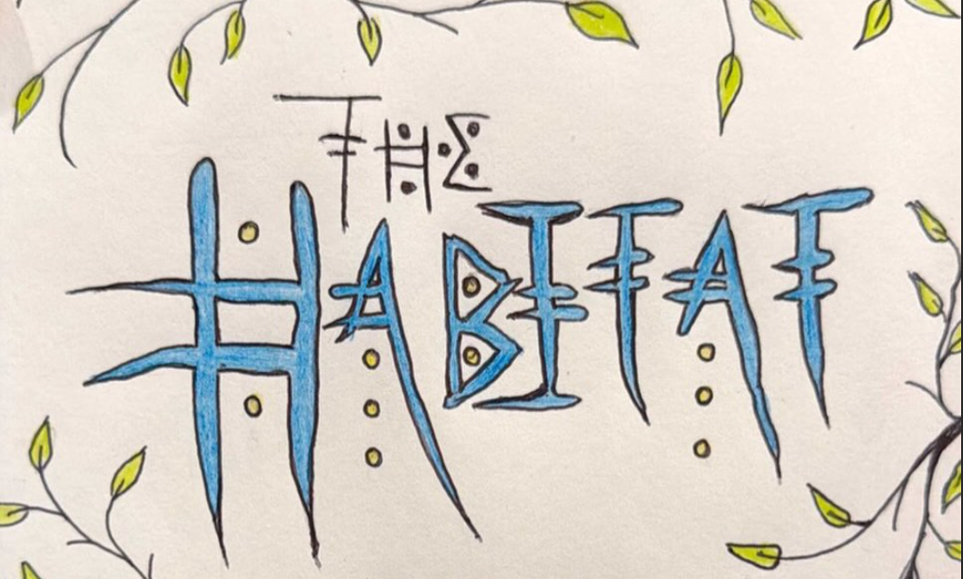 Live Music Friday: The Habitat & Lyndi Perry of Salduro March 13