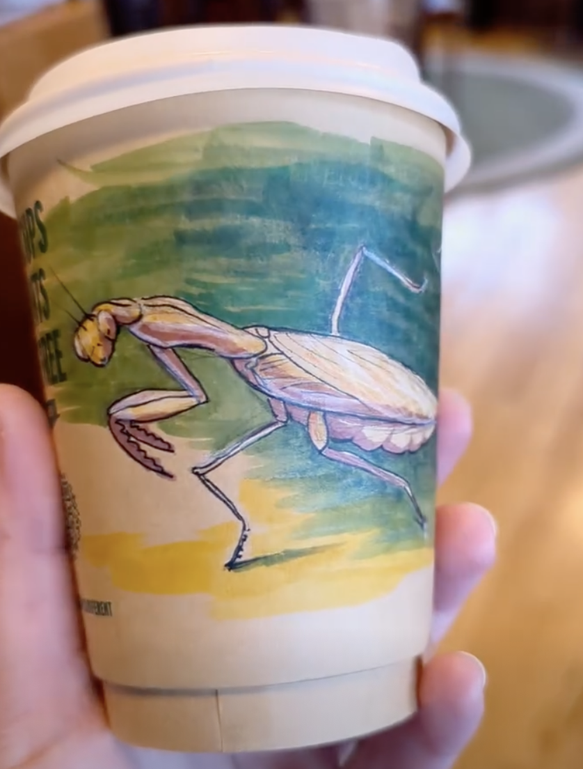 December 2025 Winner!