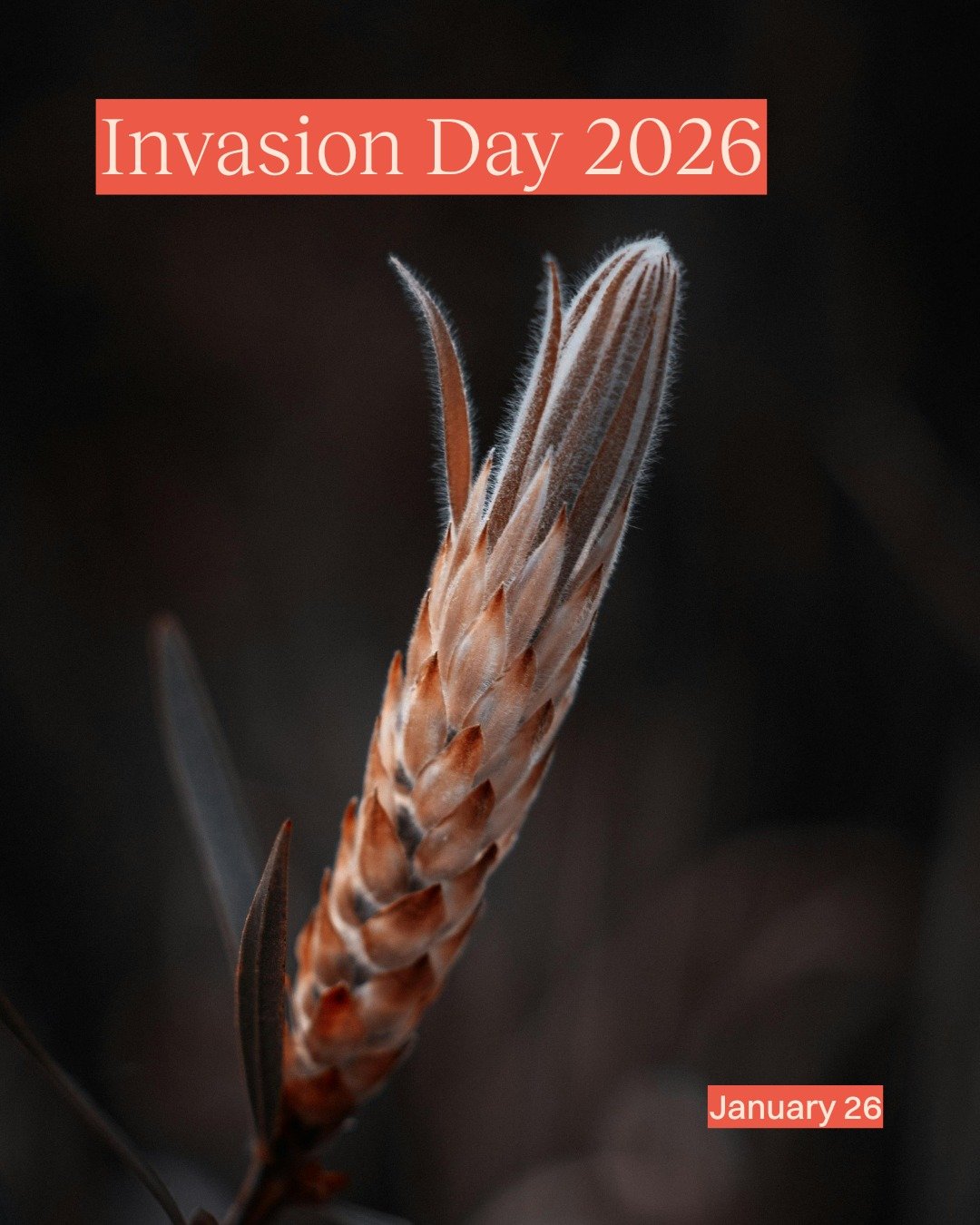 🖤💛❤️ Always Was, Always Will Be 🖤💛❤️

Acknowledging January 26. Today, we take a moment to reflect on the history, resilience and strength of Australia&rsquo;s First Nations peoples. 

#InvasionDay #SurvivalDay #AlwaysWasAlwaysWillBe