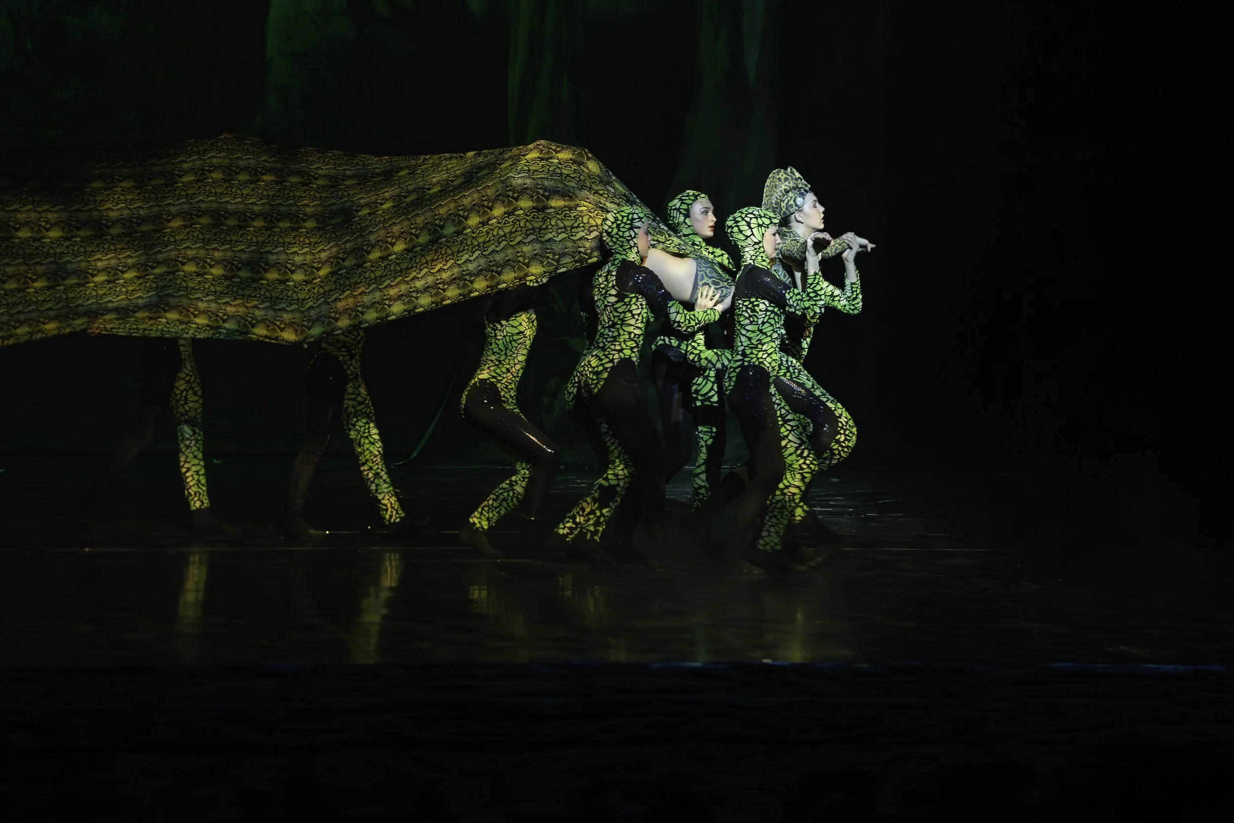 Group of performers dressed in green and black lizard-patterned costumes, carrying a large fabric resembling a dinosaur or lizard body on stage