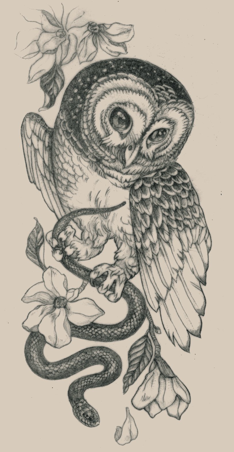 owl.jpg