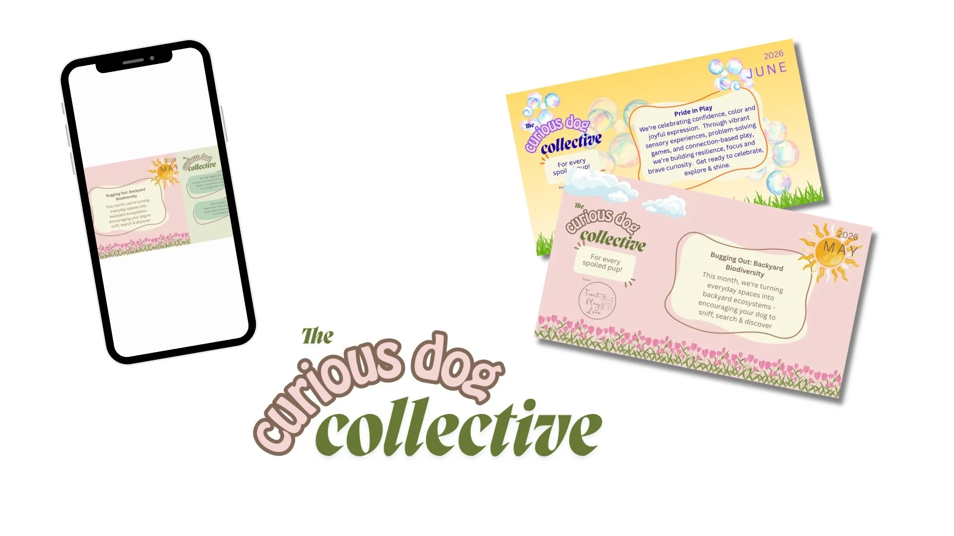 6-Month Subscription | Curious Dog Club