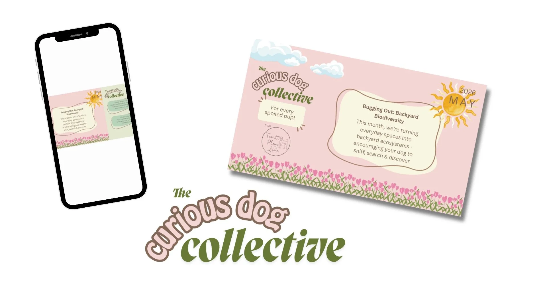 May | Curious Dog Social Club | May 2026