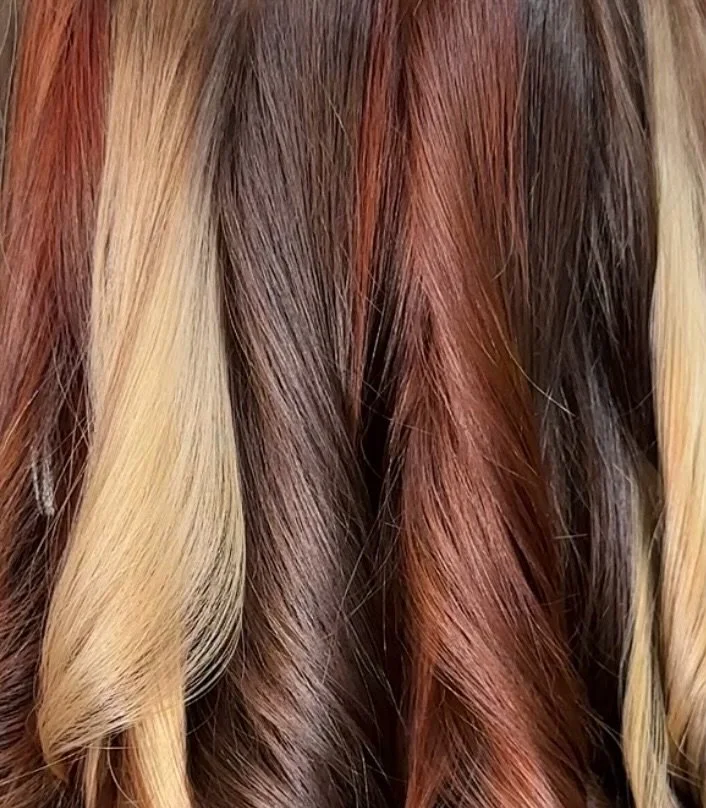 🐈🖤🧡💛💌💛🧡🖤🐈

@revivalonmain.ny #calicohair