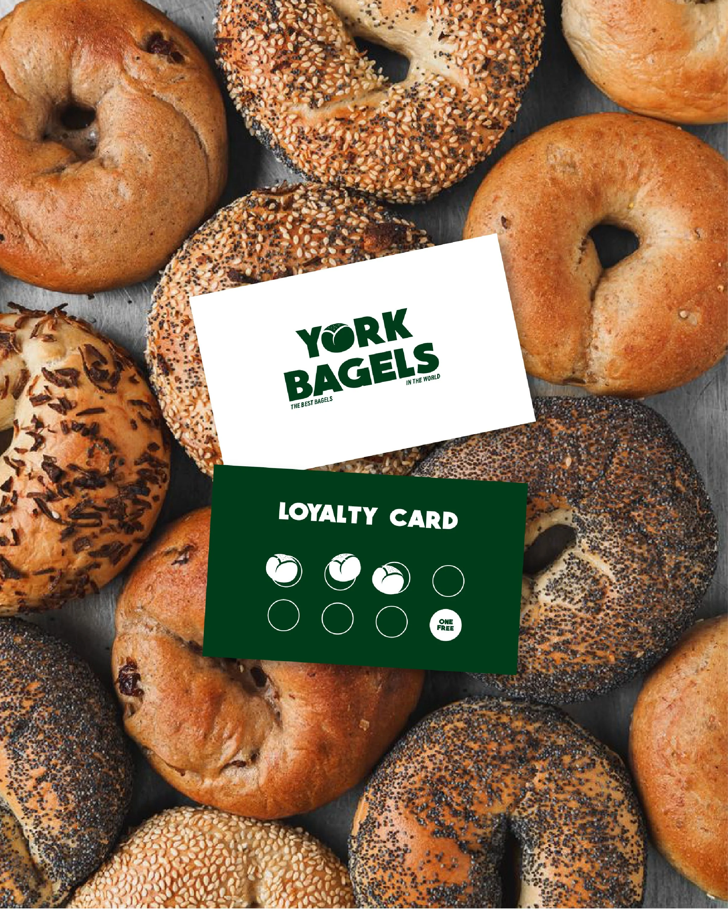 Assorted bagels with different toppings including sesame seeds, poppy seeds, and chocolate chips, surrounding a York Bagels loyalty card on a gray surface.