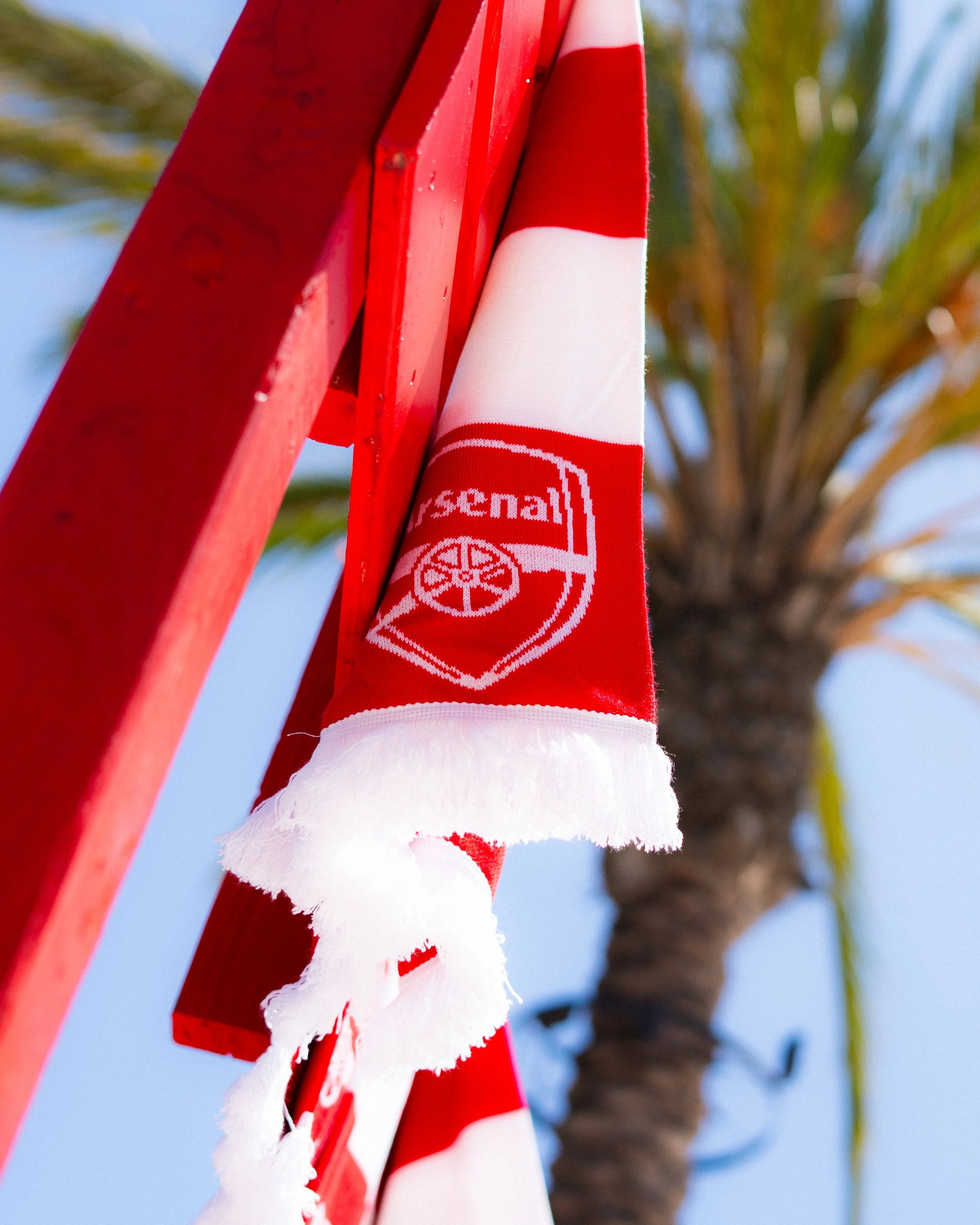 Arsenal_LA Fan Fest-2.jpg