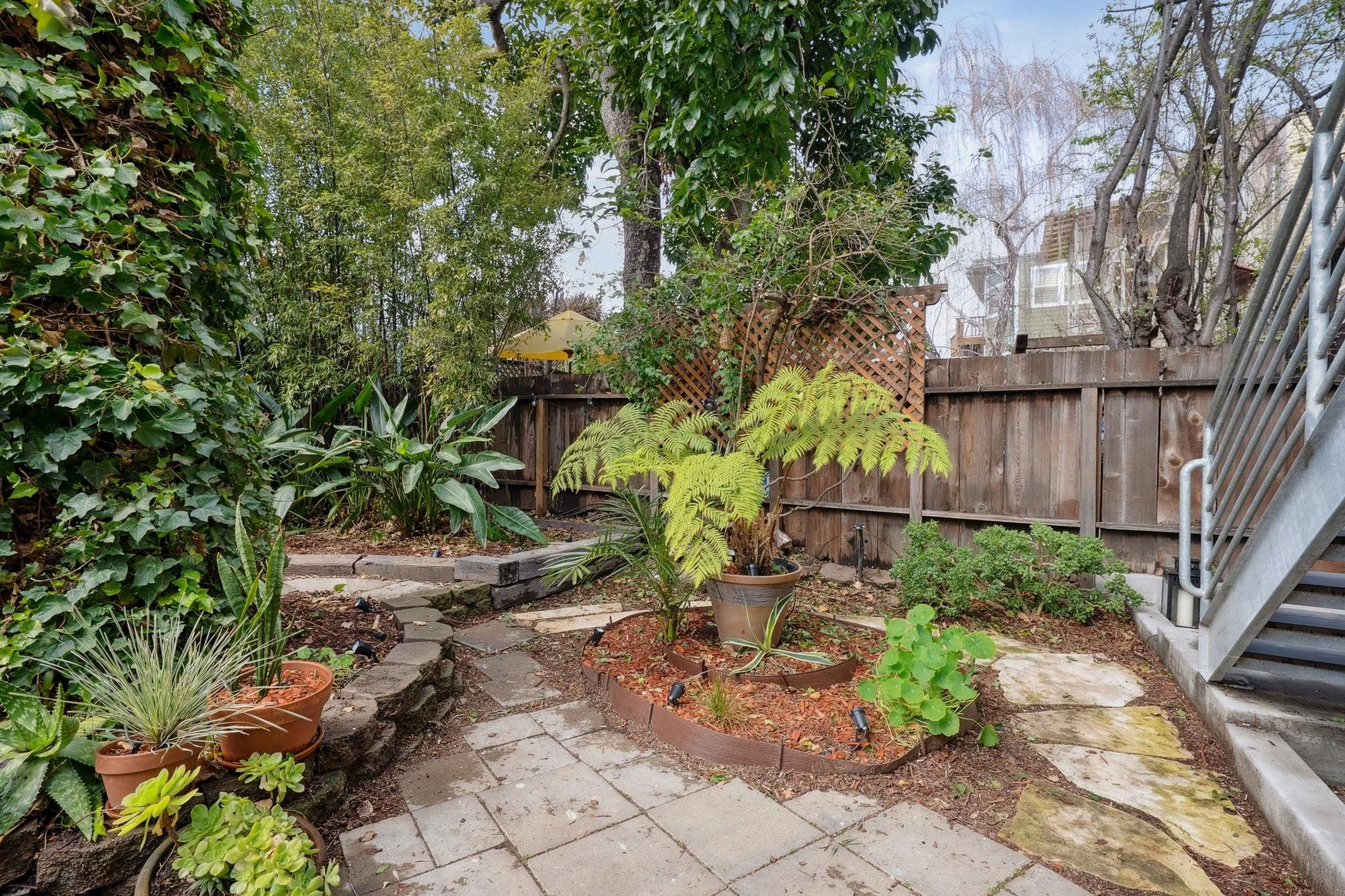 A backyard patio with potted plants, including a fern and succulents, surrounded by a stone pathway, trees, and a wooden fence.