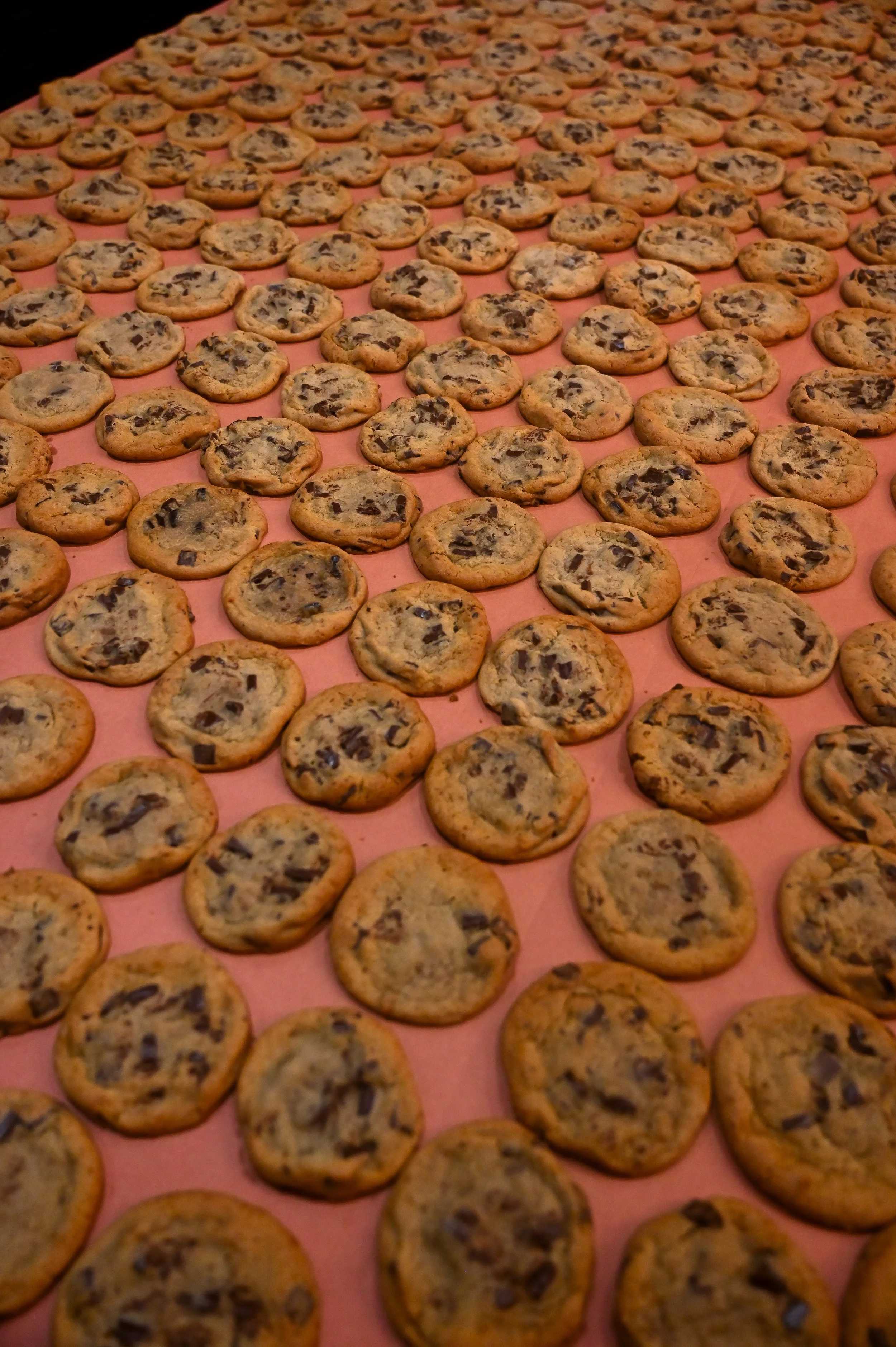 400 Cookies for a 395 person catered rooftop party! not a crumb left of these chocolate chunk cookies! 