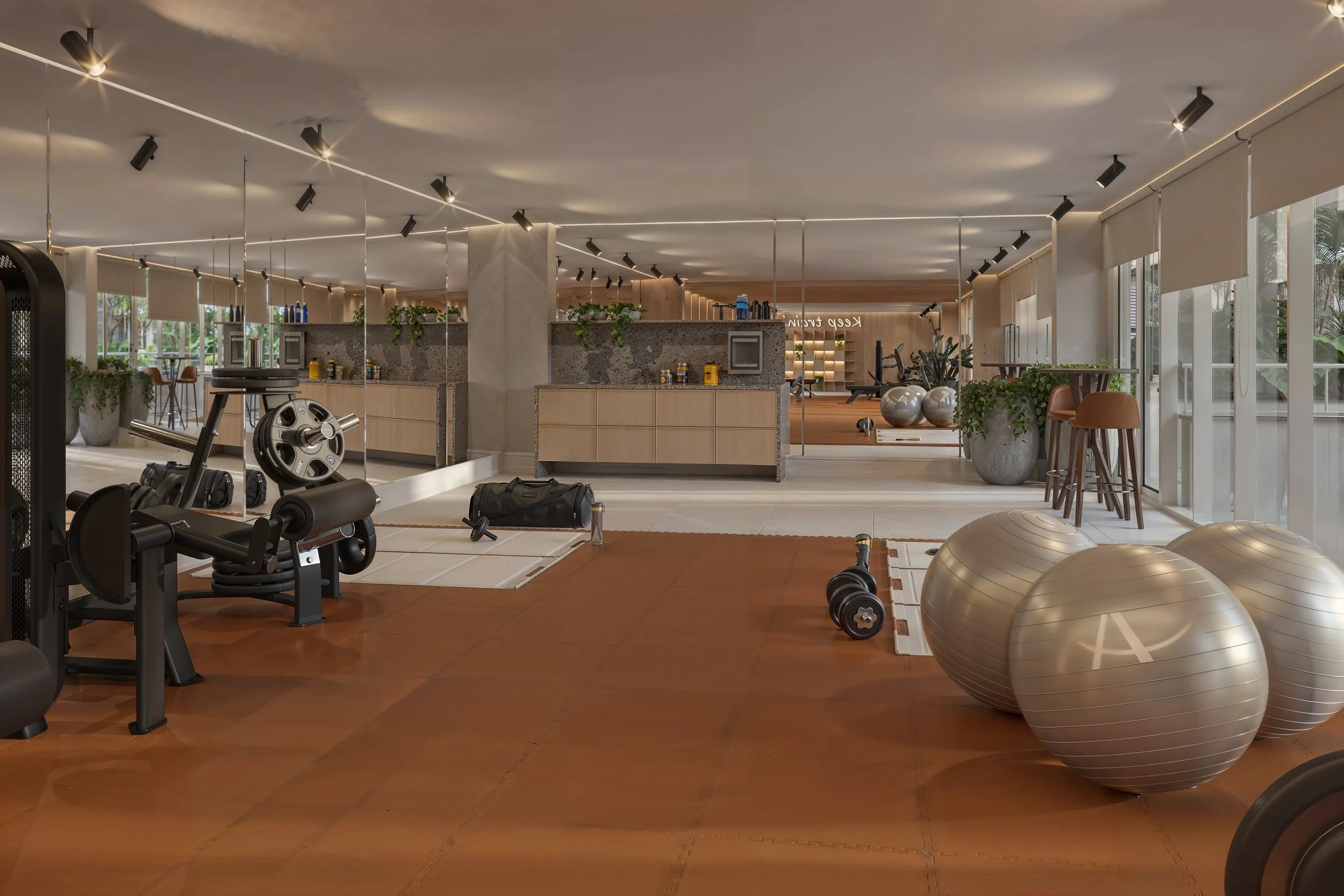 V.01_APC CÂMERA_ALLIANCE BESS02_FITNESS_VISTA_04.jpeg