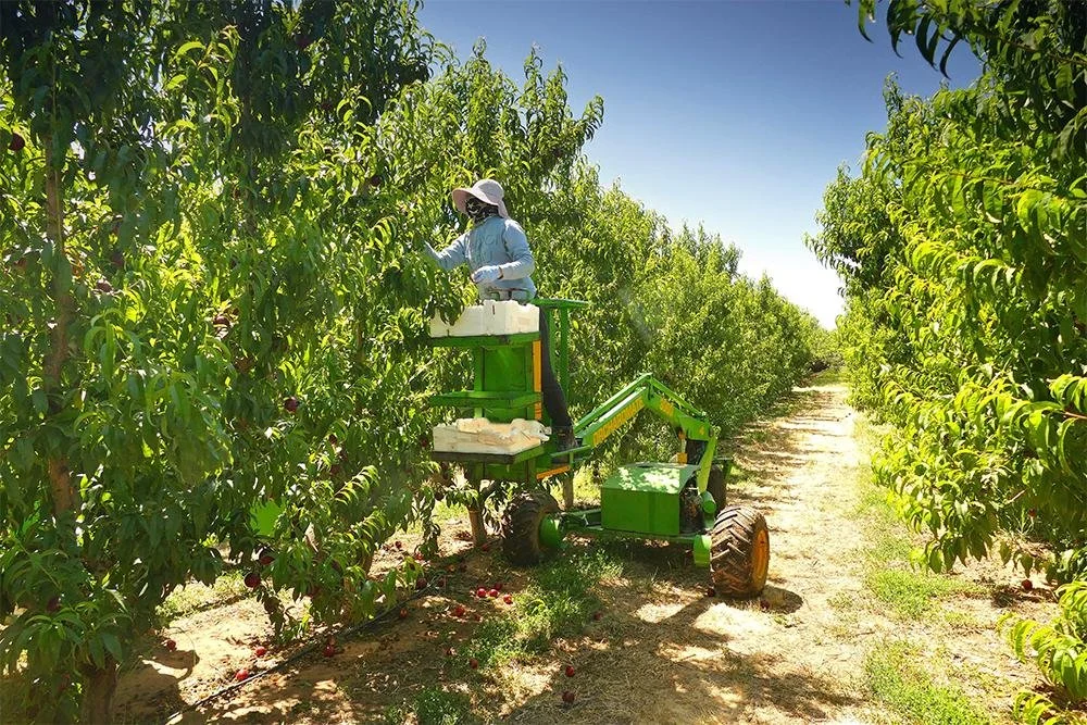 Modern Slavery Policy Australia: Do Small Businesses Need One?