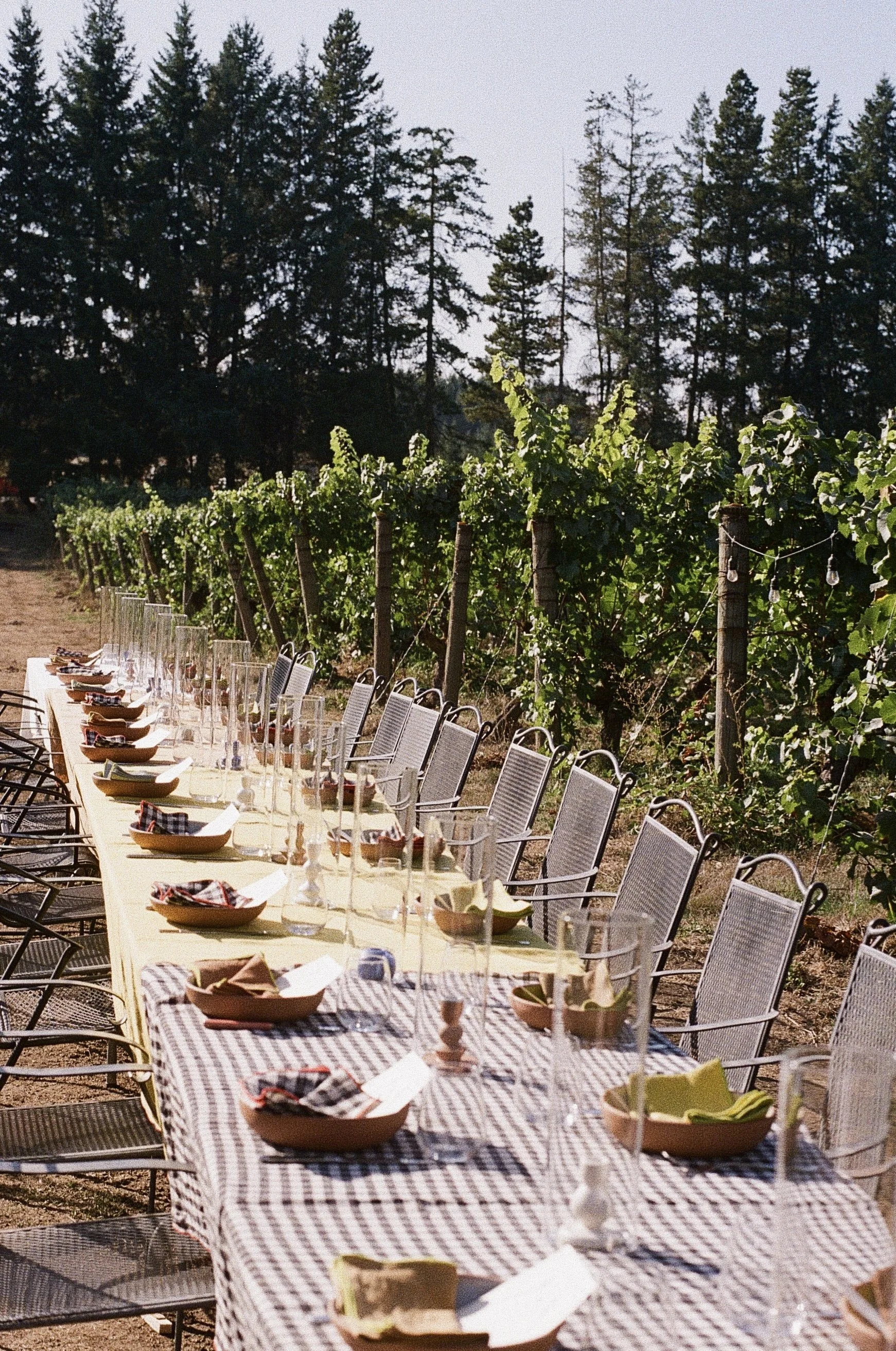 sosta+house+al+fresco+fete-097.jpg