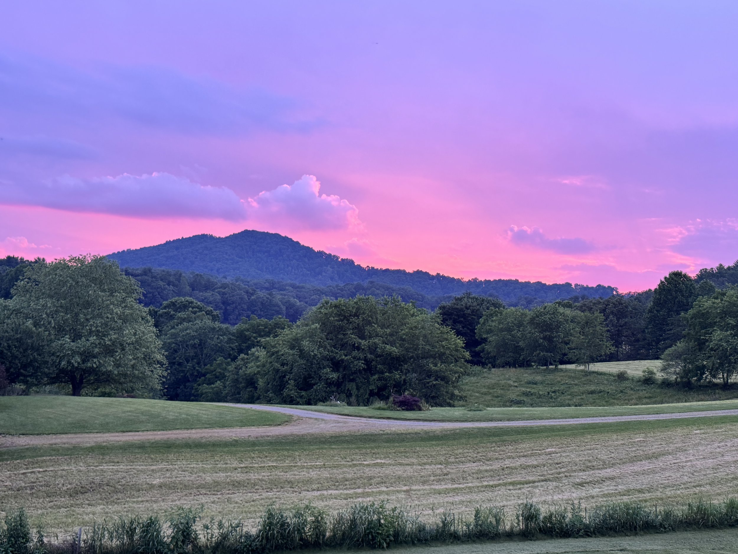 Your Complete Guide to Getting a Tattoo in Asheville, NC: Mountain Views &amp; Fresh Tattoos