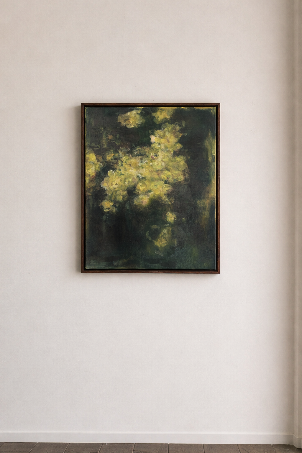 Leopard Tree in bloom