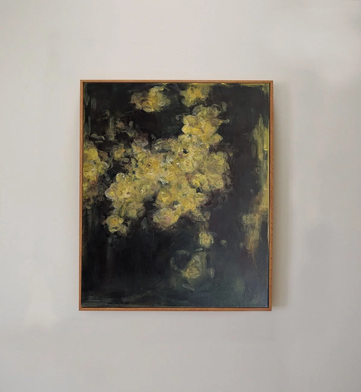 Leopard Tree in bloom