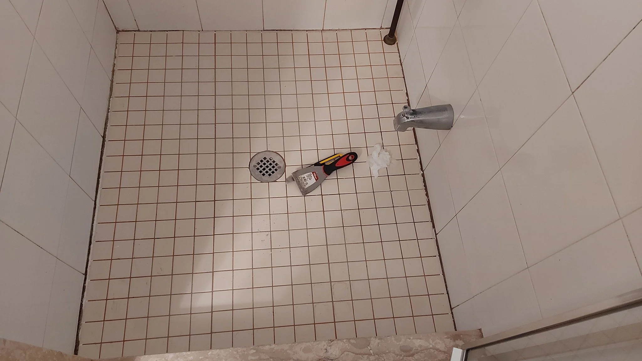 Mold cleaning #shower
