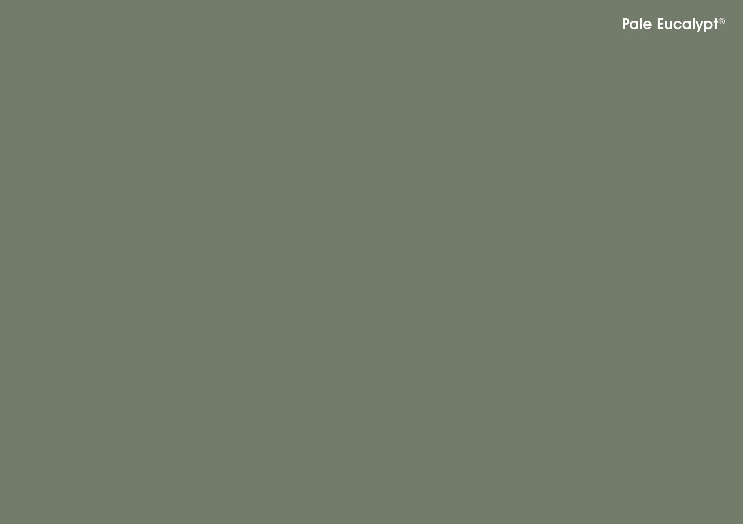 b-d-colorbond-colours-a5_10.jpg