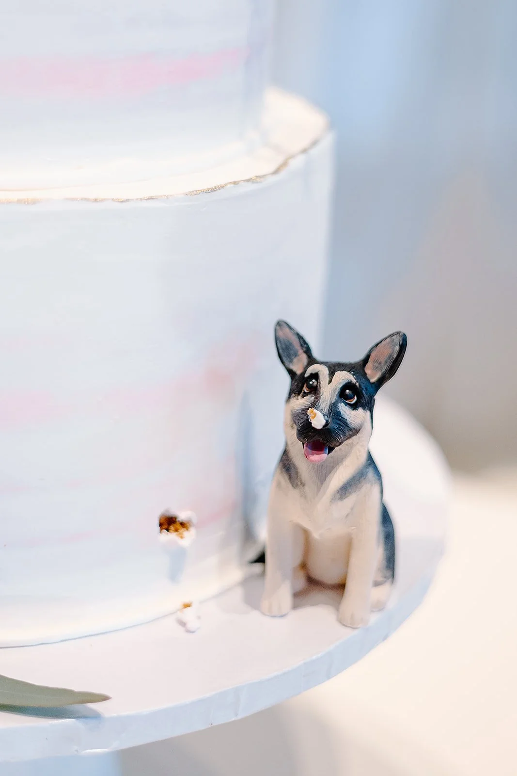 Decorative figure of a dog with a piece of cake on its nose next to a white cake with pink and blue accents.