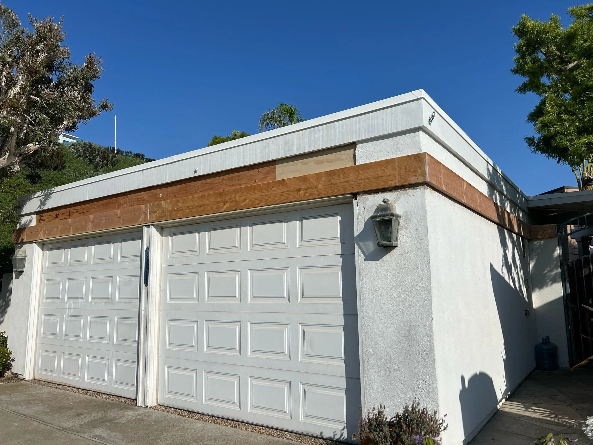 WhatsApp Image 2025-03-02 at 8.13.54 PM.jpeg