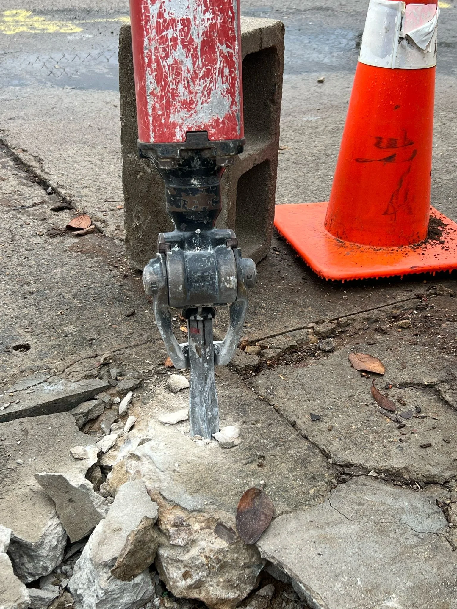 WhatsApp Image 2025-04-15 at 6.26.00 PM (2).jpeg