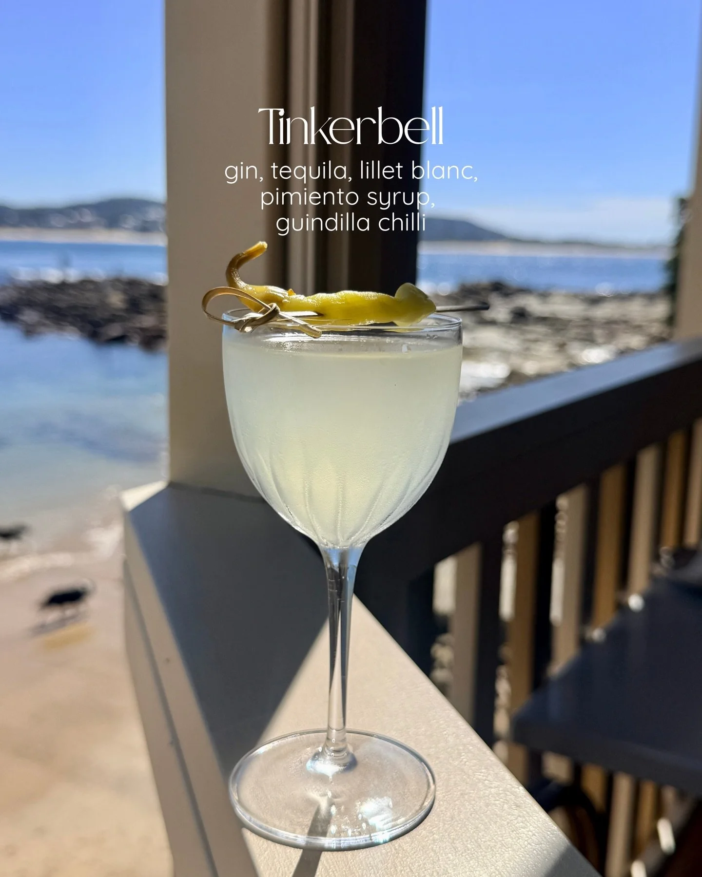 On our specials menu this weekend is Tinkerbell ✨🧚

She&rsquo;s tiny, but she packs a punch - just like her namesake 💪 Limited while she lasts! 

Link in bio to book a table to enjoy the beautiful weather this weekend ☀️

#terrigal #terrigalrestaur