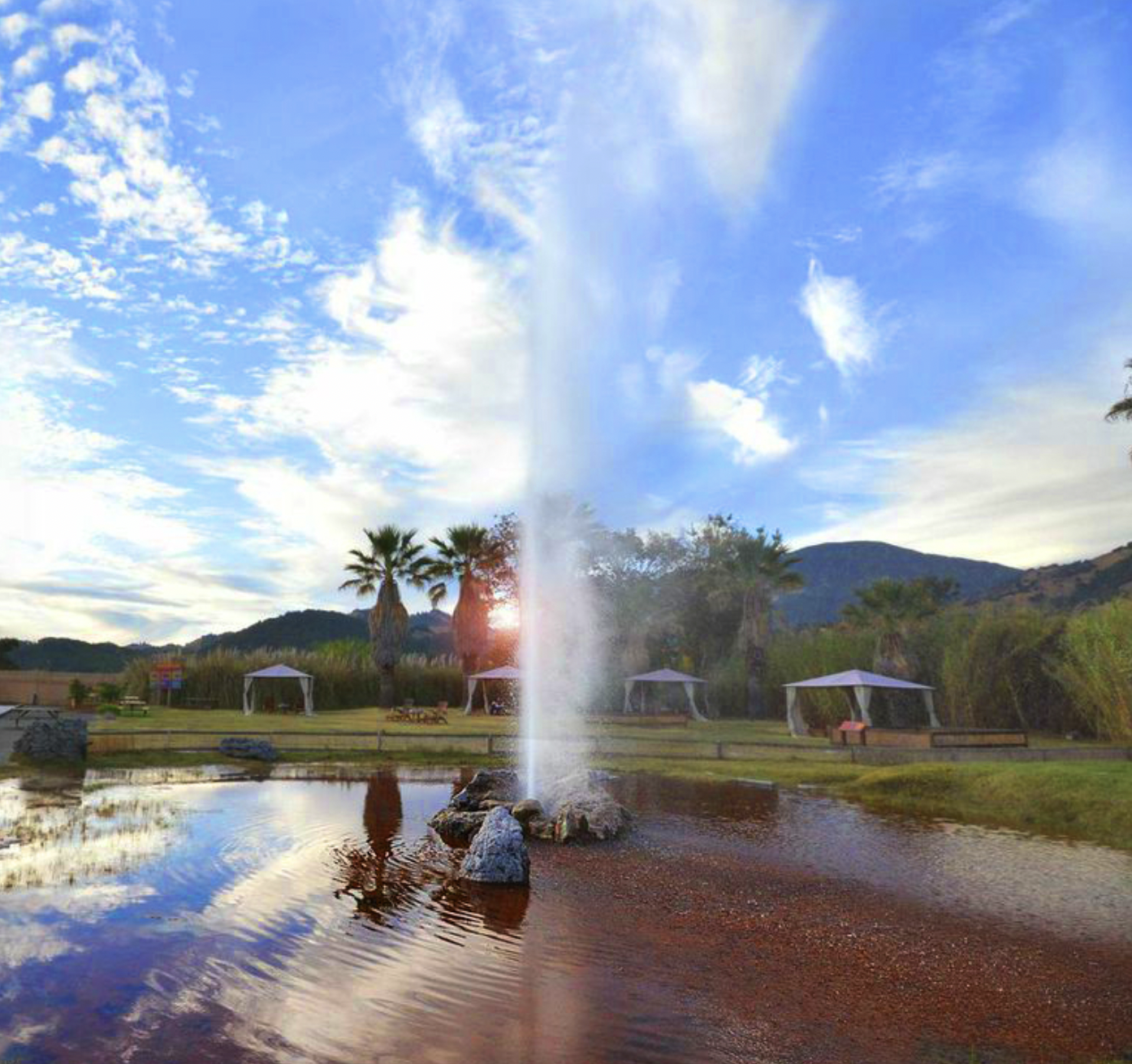 Old Faithful Geyser of California