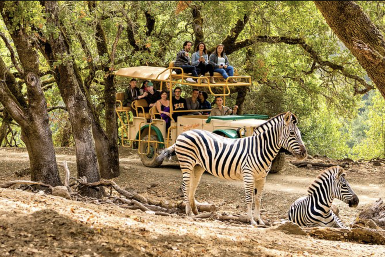 Safari West