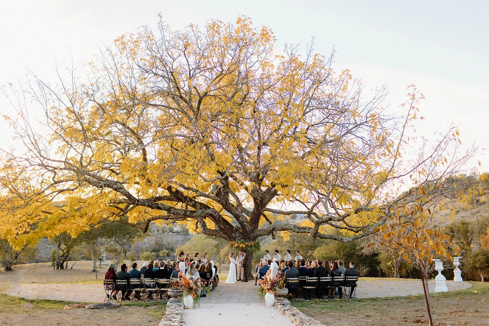 Natalie + Vince's wedding at Triple S Ranch, in Calistoga, California