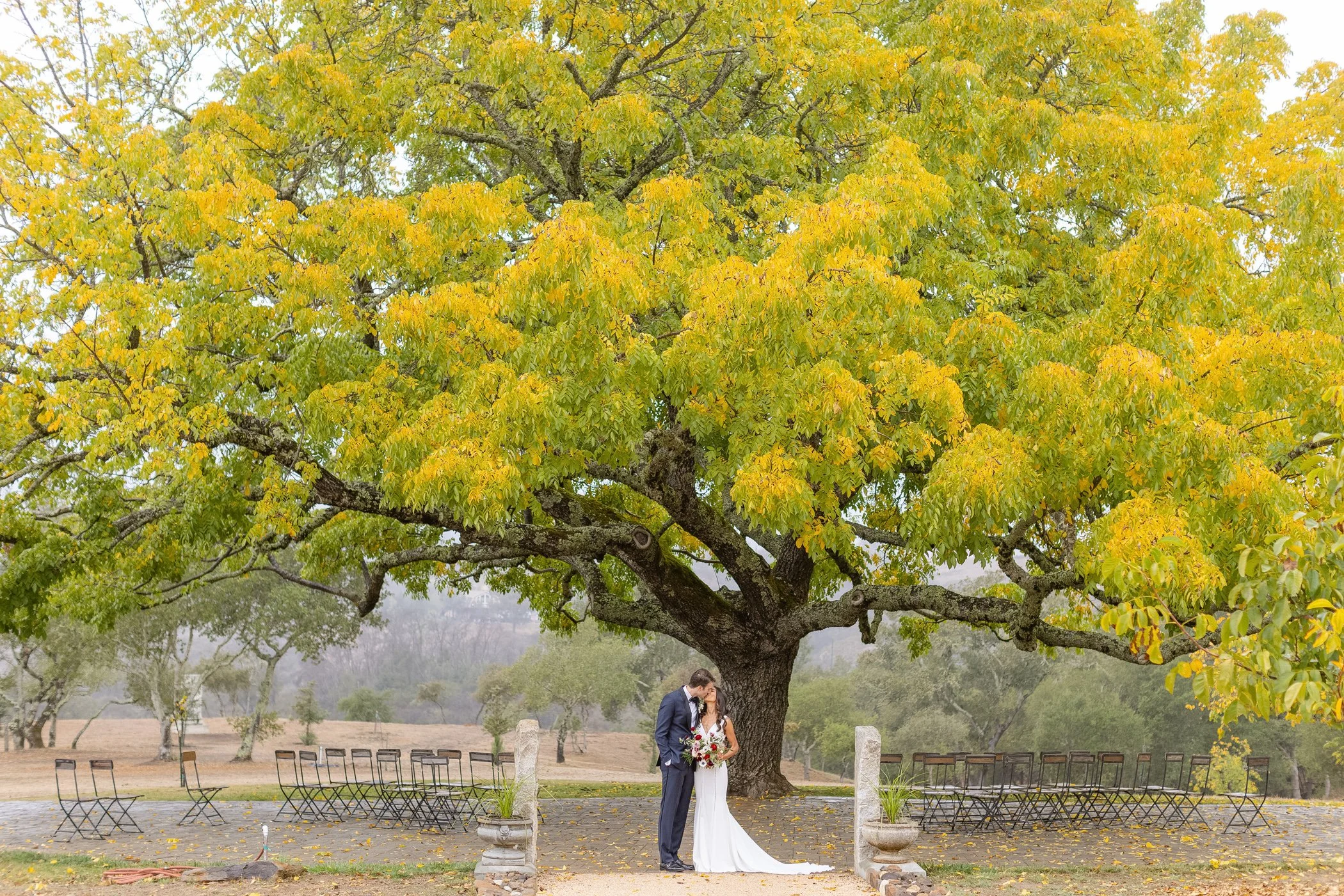 bride and groom kissing under grand tree at Elizabeth + Nelson wedding at Triple S Ranch, in Calistoga, California
