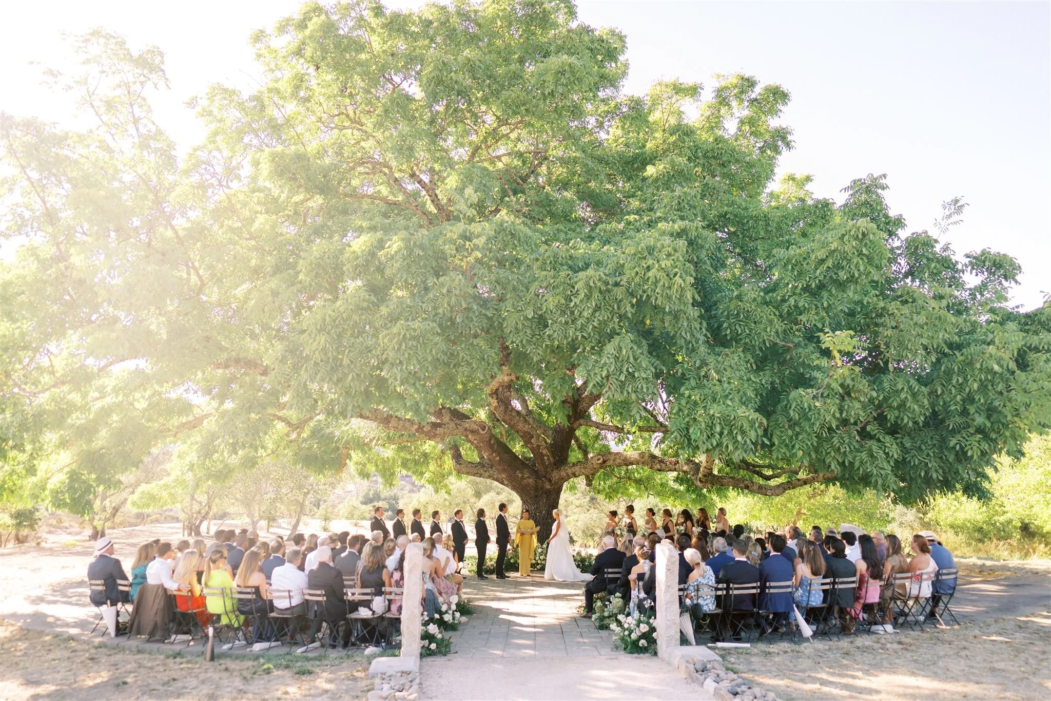Wedding ceremony under large green tree in calistoga california at triple s ranch