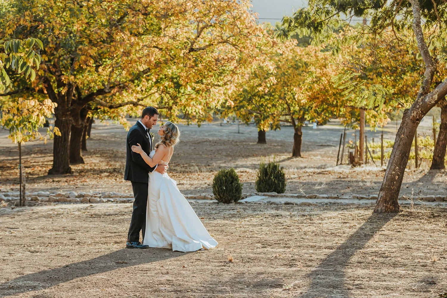Bride and groom together in fall orchard