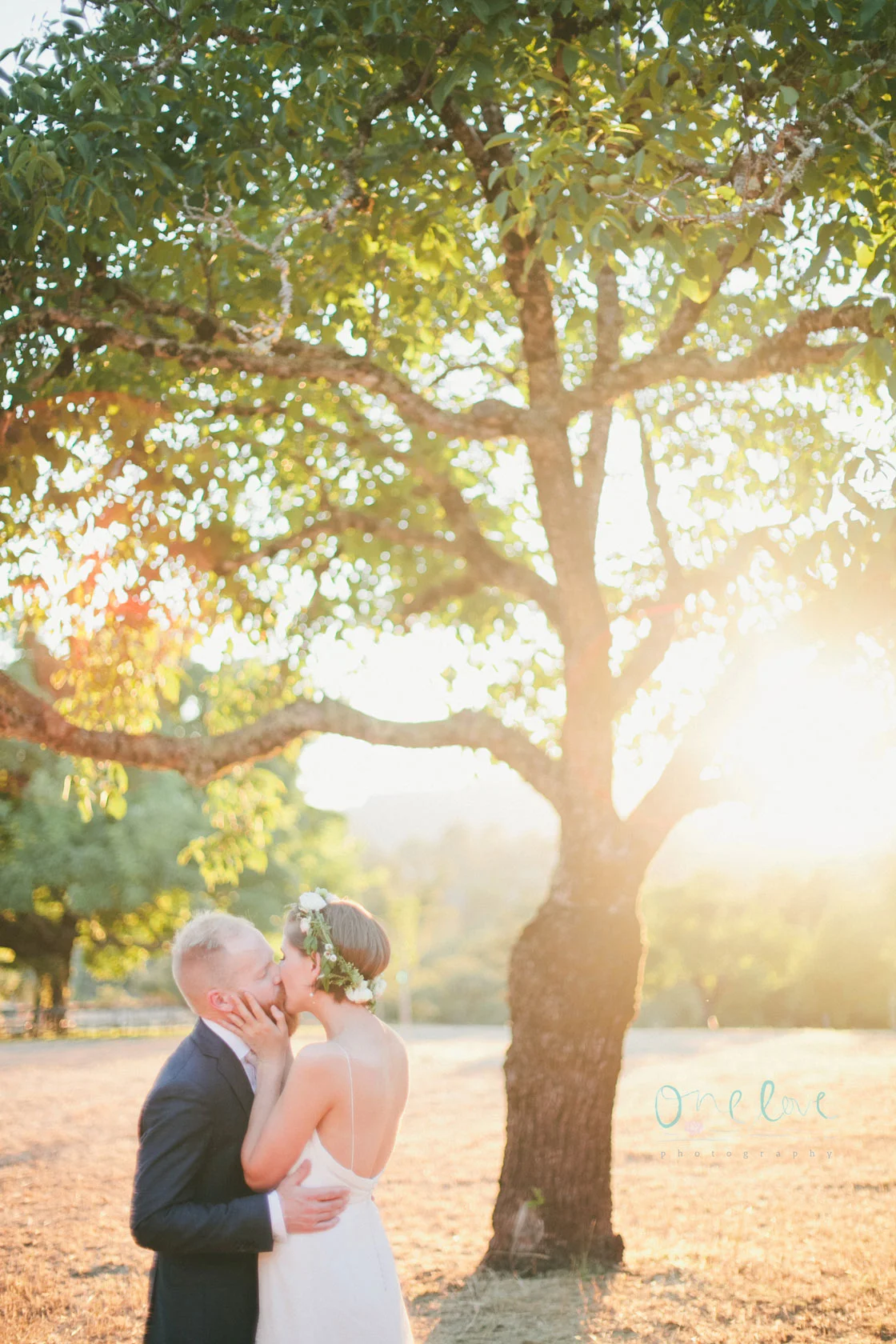 Couple kissing outdoors beside a large tree at sunset in wedding attire.