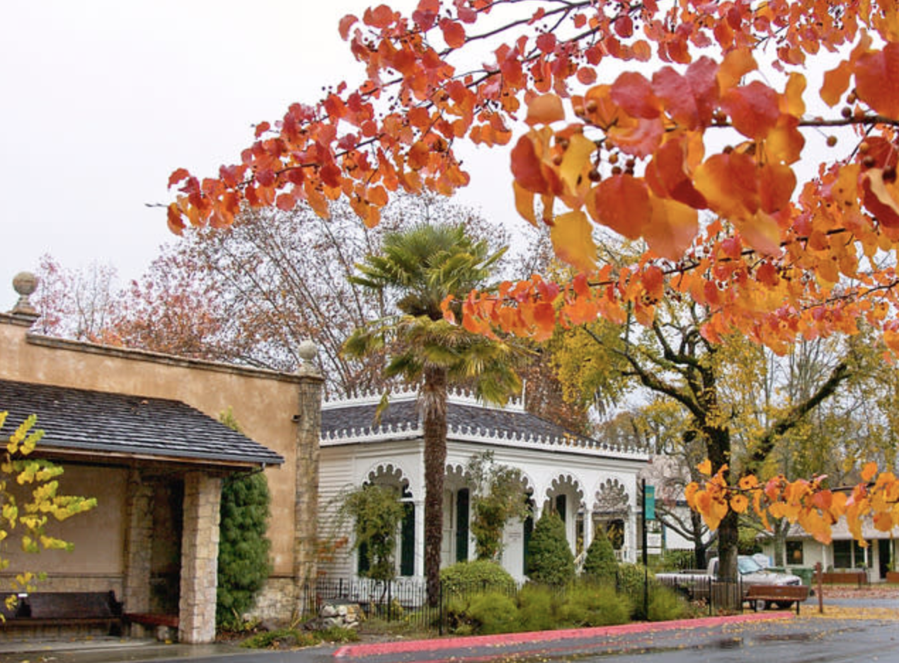 Historic Museums