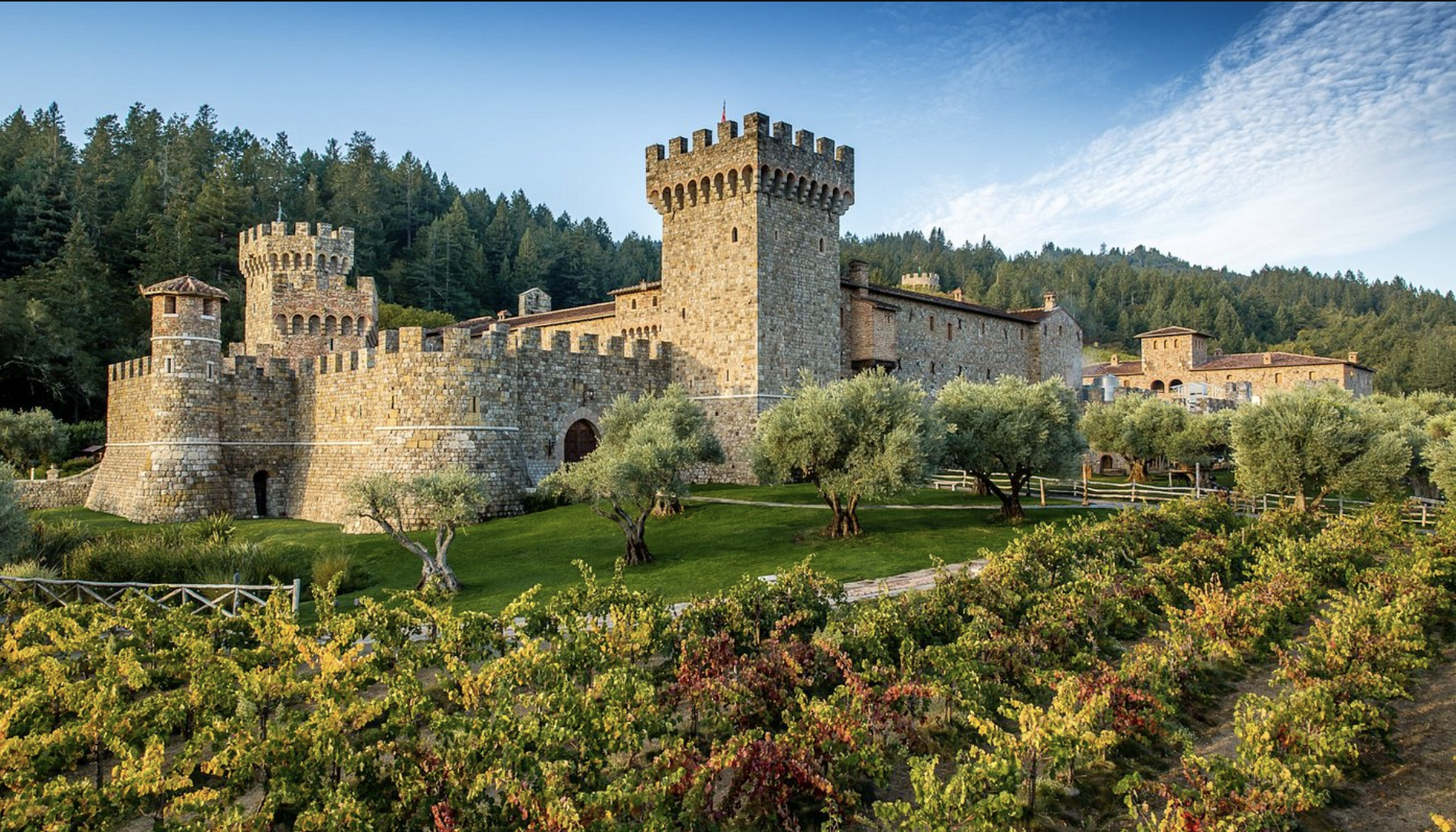 Castello di Amorosa