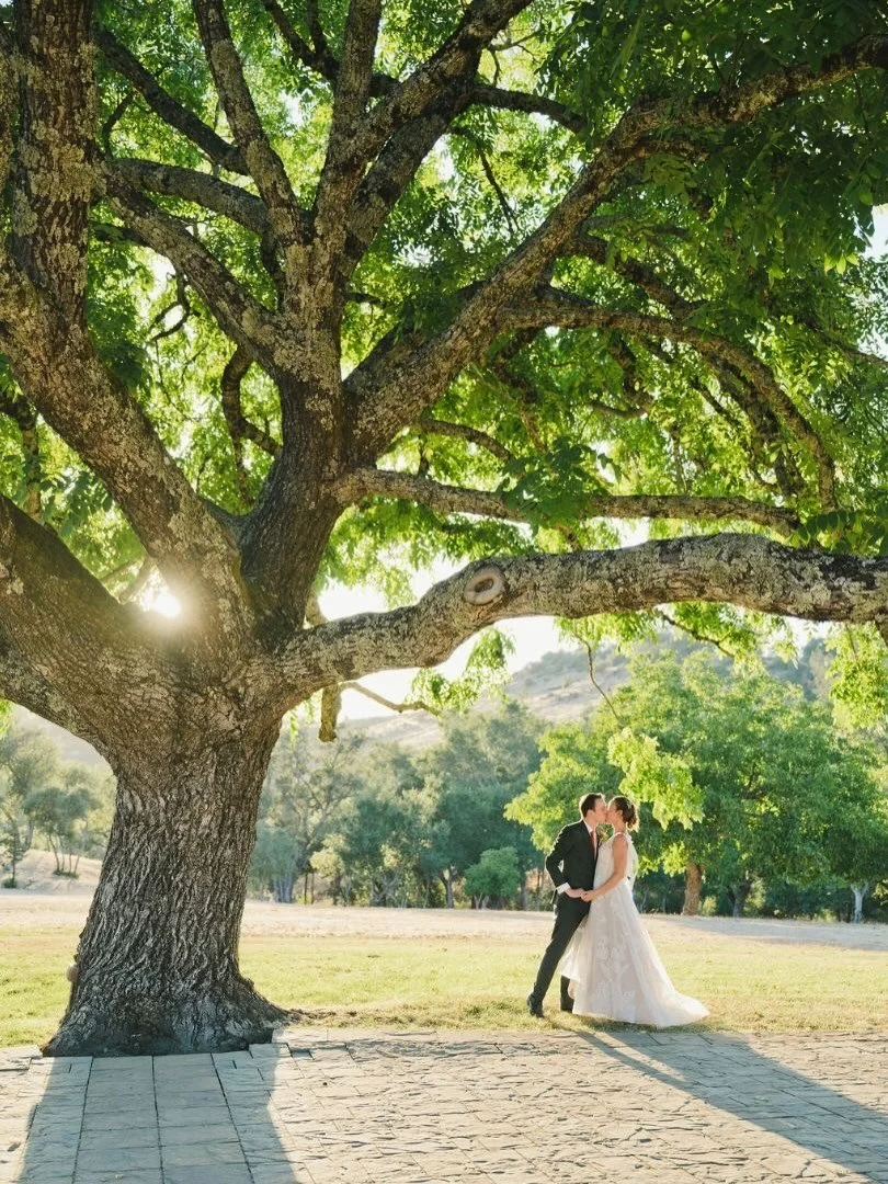 The ceremony felt easy, natural, and meant to be under our grandpa black walnut tree. It feels like a blissful haven for love, laughter, and a day that couldn&rsquo;t have been more right&hellip; And with this perfect weather, it knew what the day ne