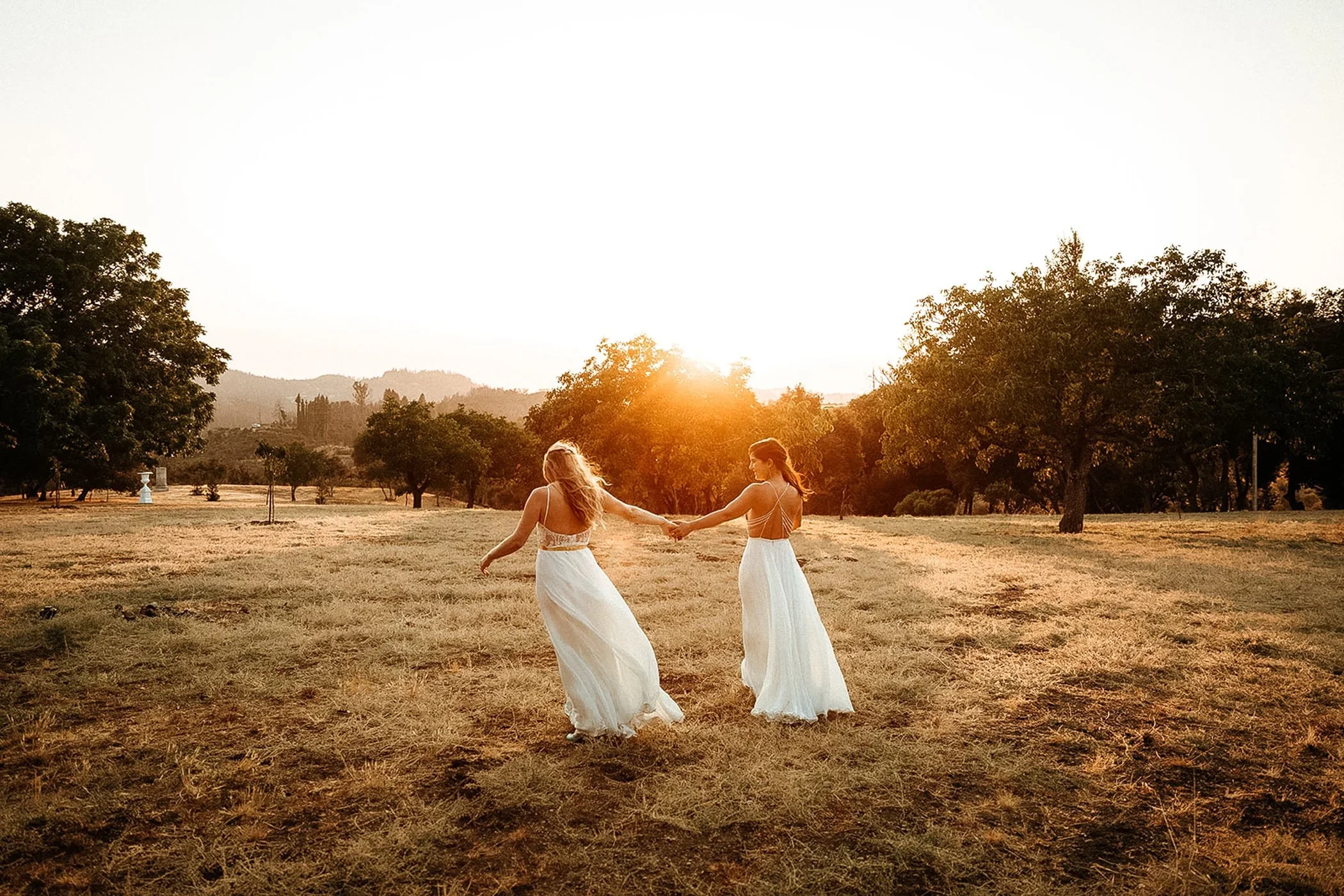 Luxury Outdoor Ceremony Spaces in Napa Valley for Your Dream Wedding