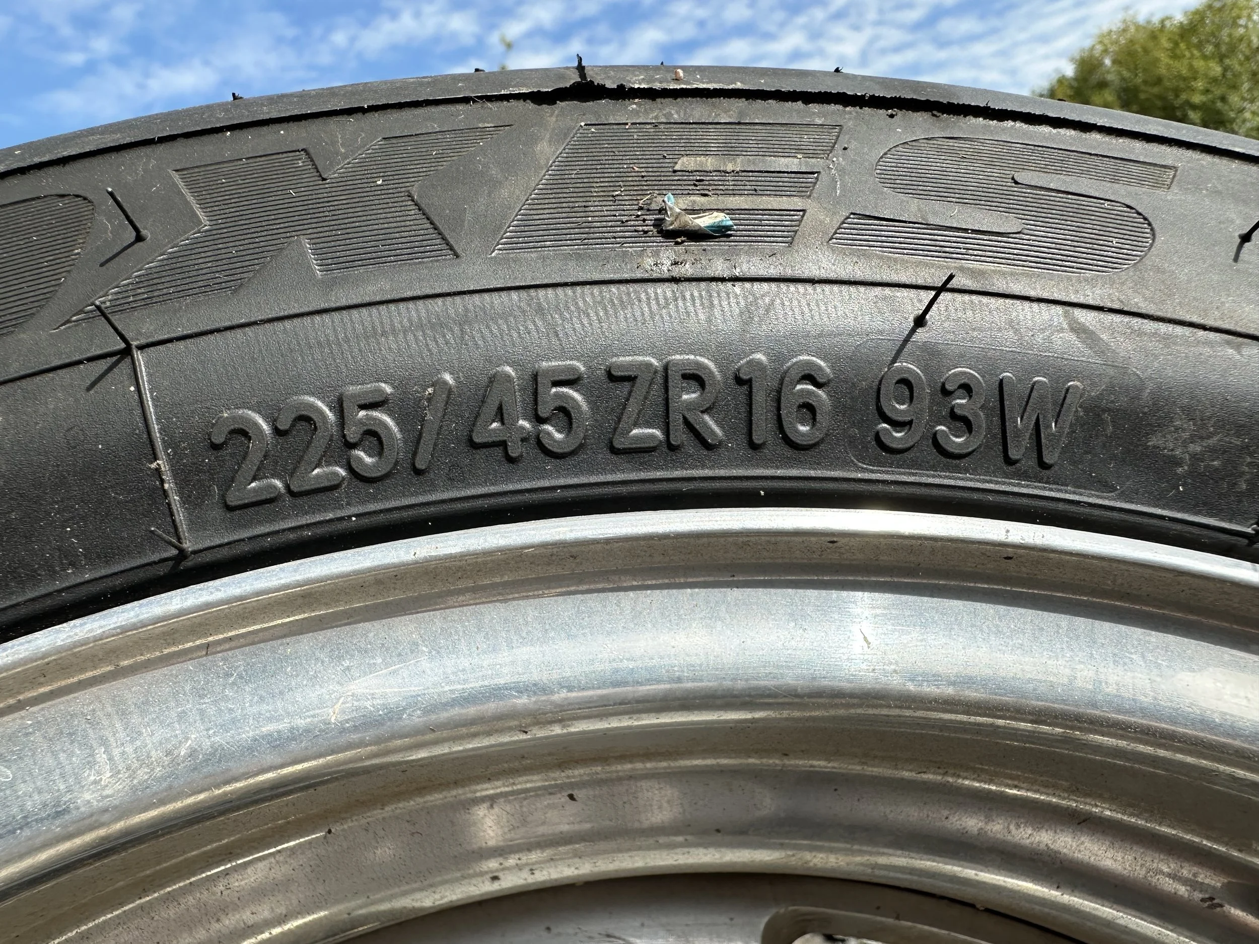 IMG_7134.jpeg