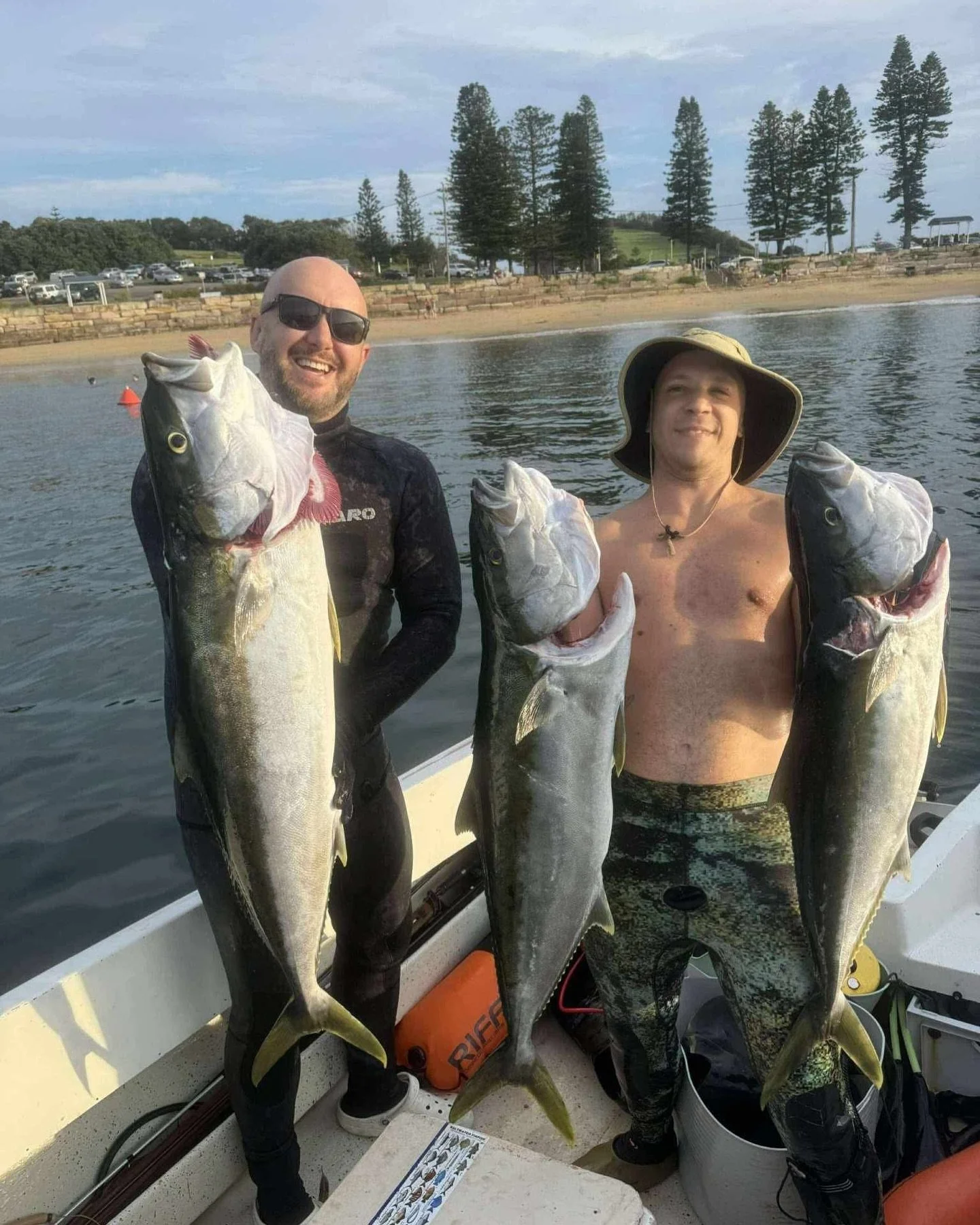 Couple nan slappers heckling the local kingfish population.
Well done @nickblyth @vincey_i 
#spearfishing #centralcoast #yellowtail #kingfish #geezers #lemonsqeezer 
#speargishing
