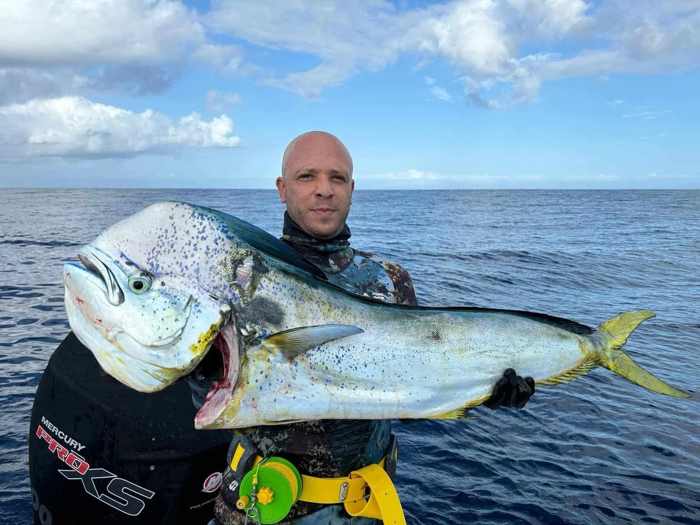 Local geezer @vincey_i with a quality Bull Mahi Mahi coming in just shy of 12kg.
#spearfishing #spearfishingcentralcoast #mahimahi #grimey #mandem #geezersofbateau