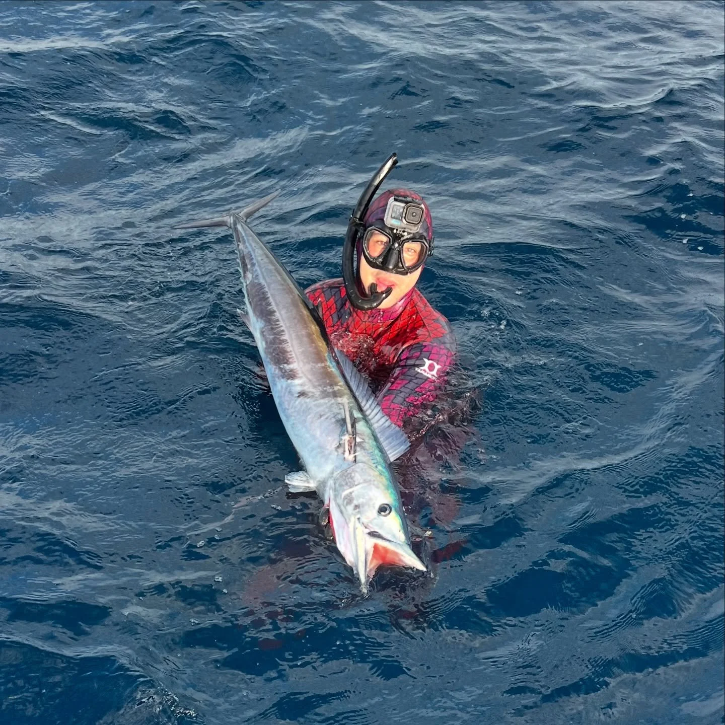 Club prez with his first wahoo coming in at 10.8 kg.