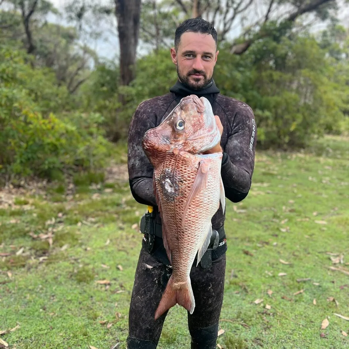 @samfacchini  with a cracker knobby coming in at 5.4kg , well done 
@adreno.spearfishing 
@noobspearo 
@aufspearfishing