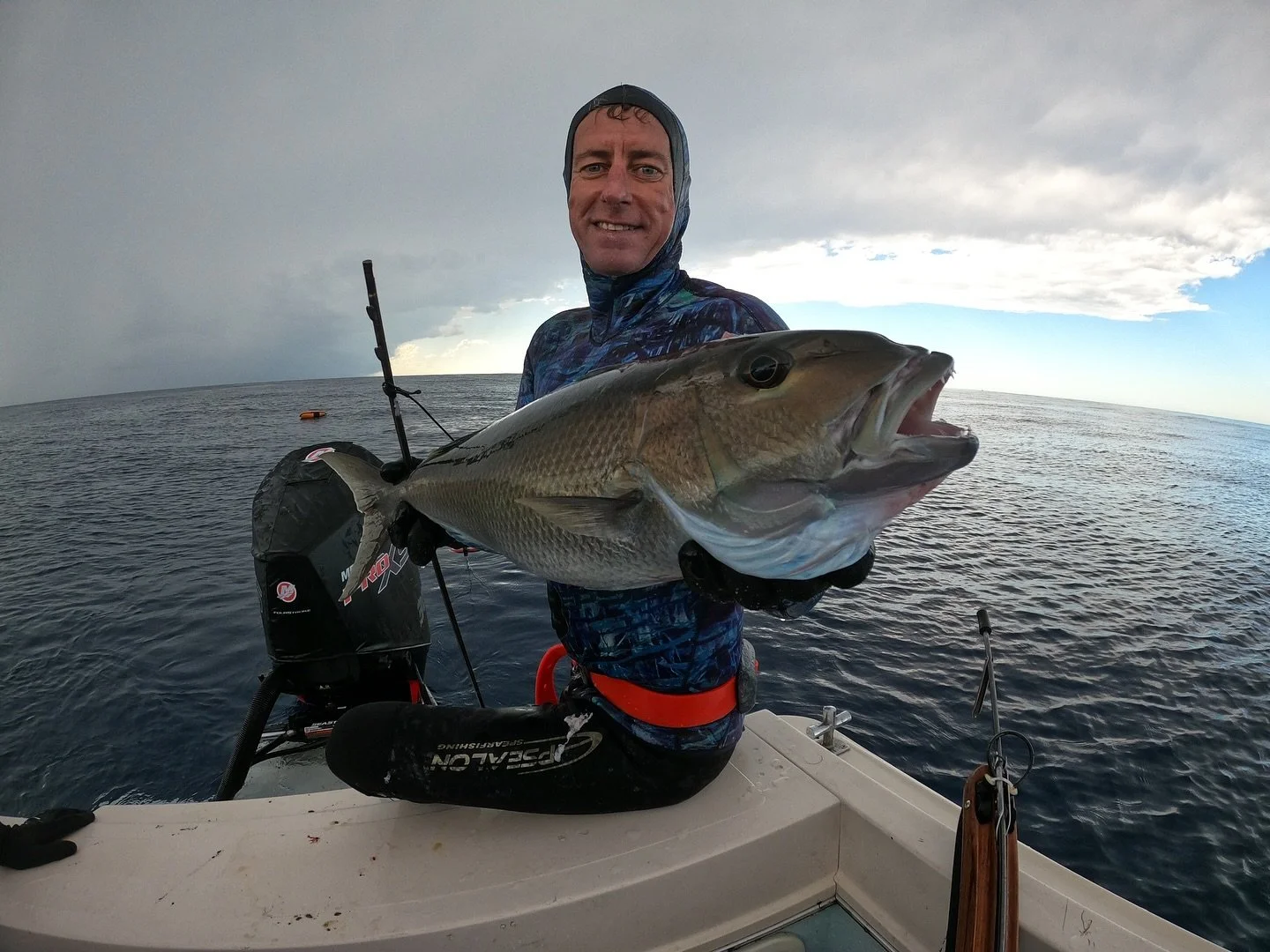 A few of the lads on a recent trip up north enjoying the fruits of good water and altime conditions.
#spearfishing #SEQ #bombora #bomboraspearguns #pelagic #spanishmackerel #tuskfish #jobfish #goldspot