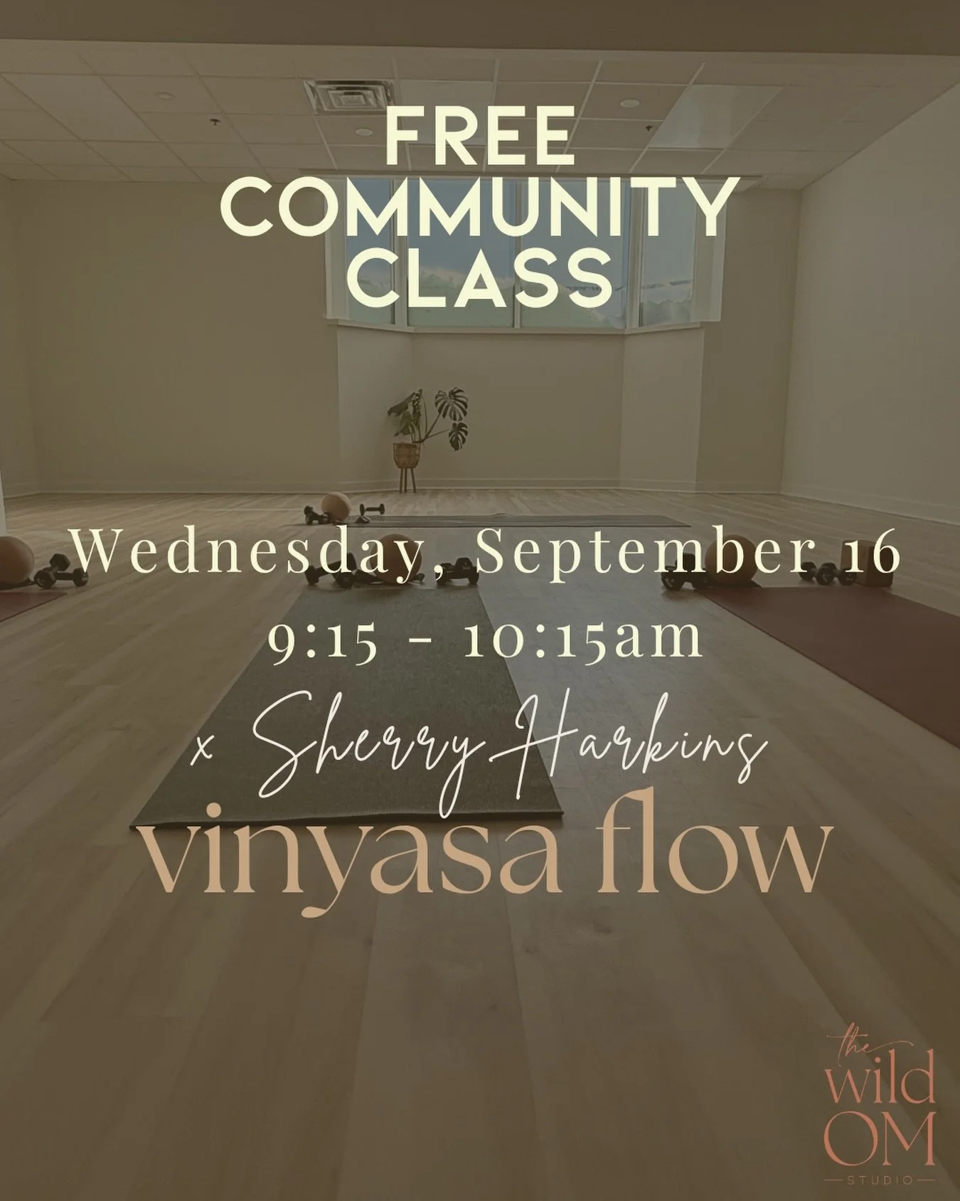 tomorrow, come meet sherry. 

join us for a community hot vinyasa flow and get to know one of the newest teachers who have joined the incredible team. 

come flow with sherry. come say hi. come see what she&rsquo;s all about 

📅 wednesday, september
