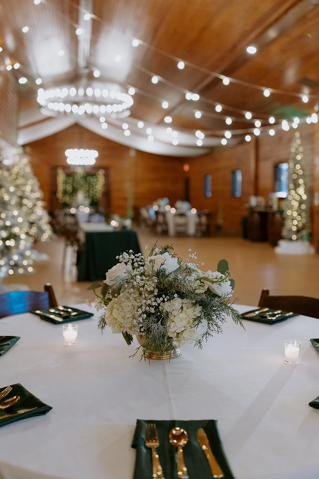 HX6A7601.jpg